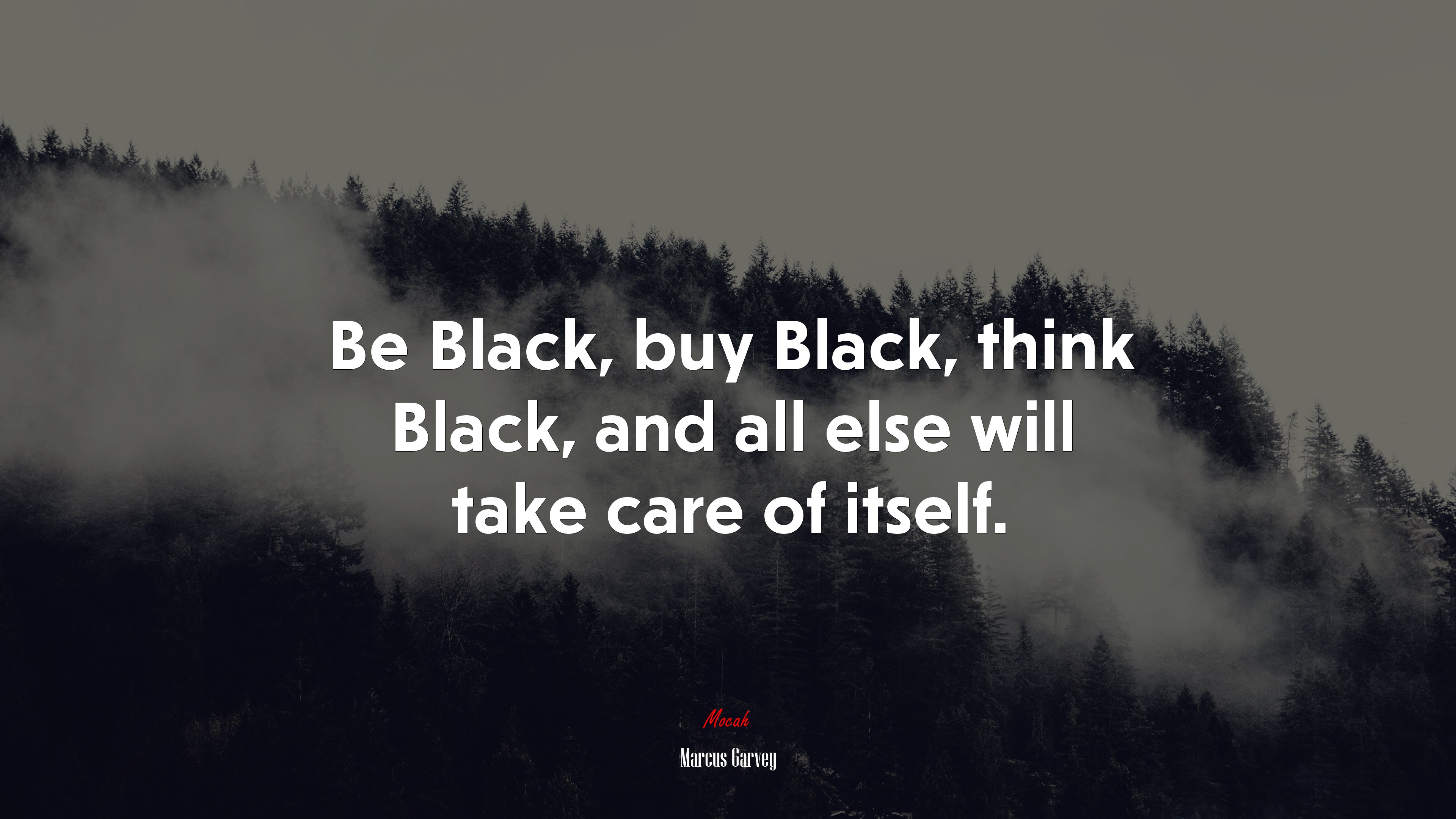 Be Black, buy Black, think Black, and all else will take care of itself. | Marcus Garvey quote HD Wallpaper