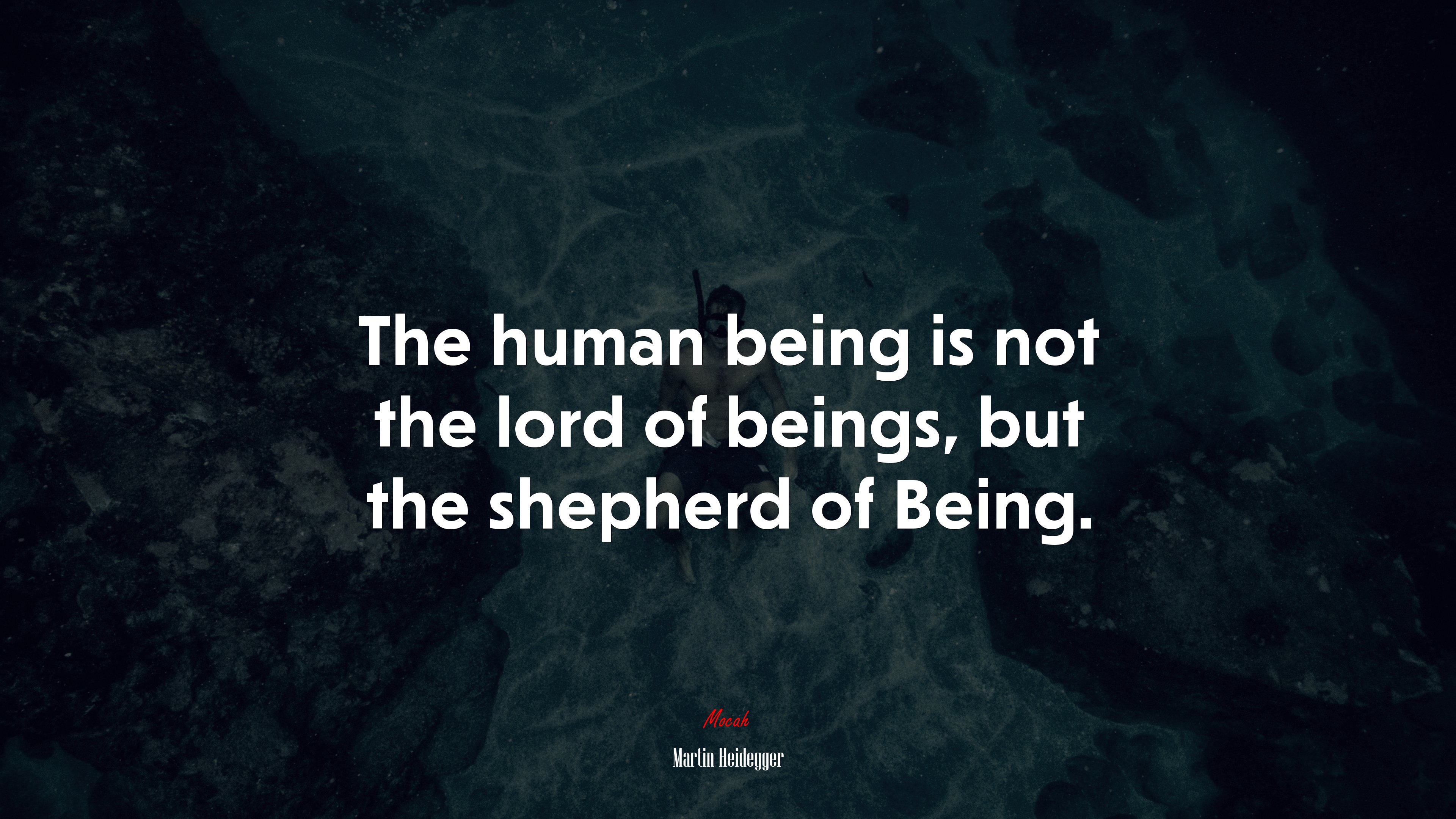 The human being is not the lord of beings, but the shepherd of Being. | Martin Heidegger quote HD Wallpaper