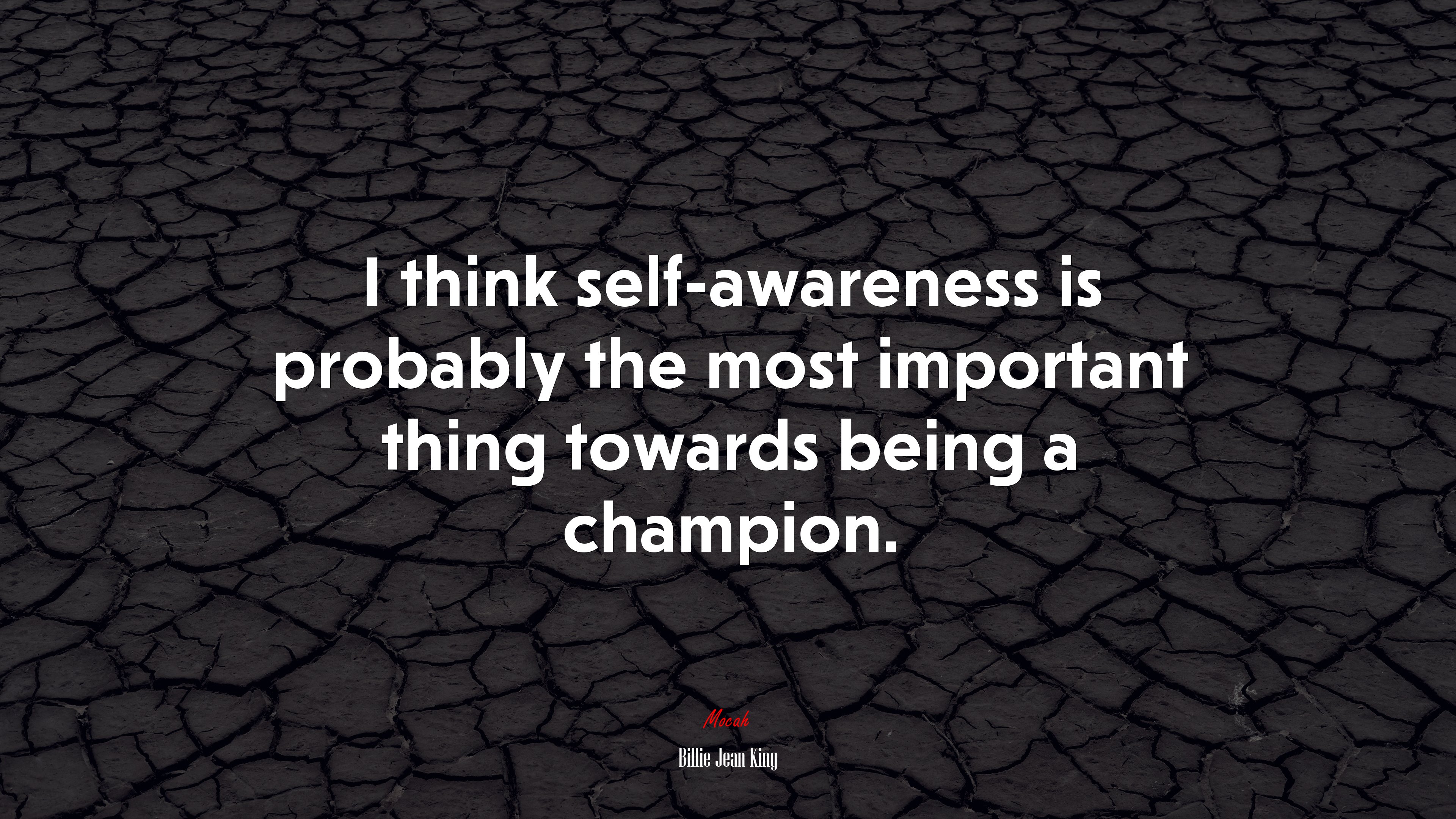 I think self-awareness is probably the most important thing towards being a champion. | Billie Jean King quote HD Wallpaper