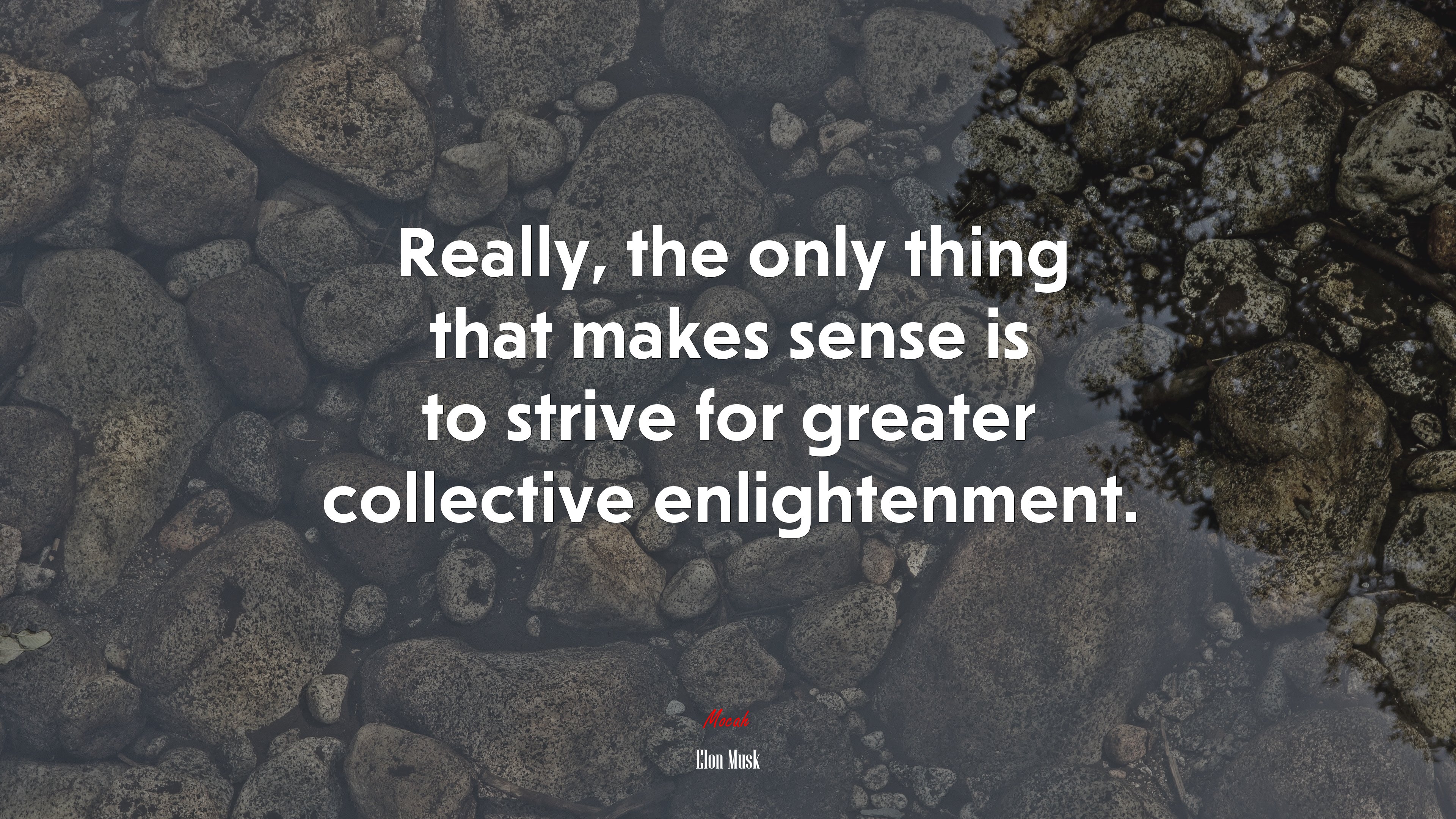Really, the only thing that makes sense is to strive for greater collective enlightenment. | Elon Musk quote HD Wallpaper