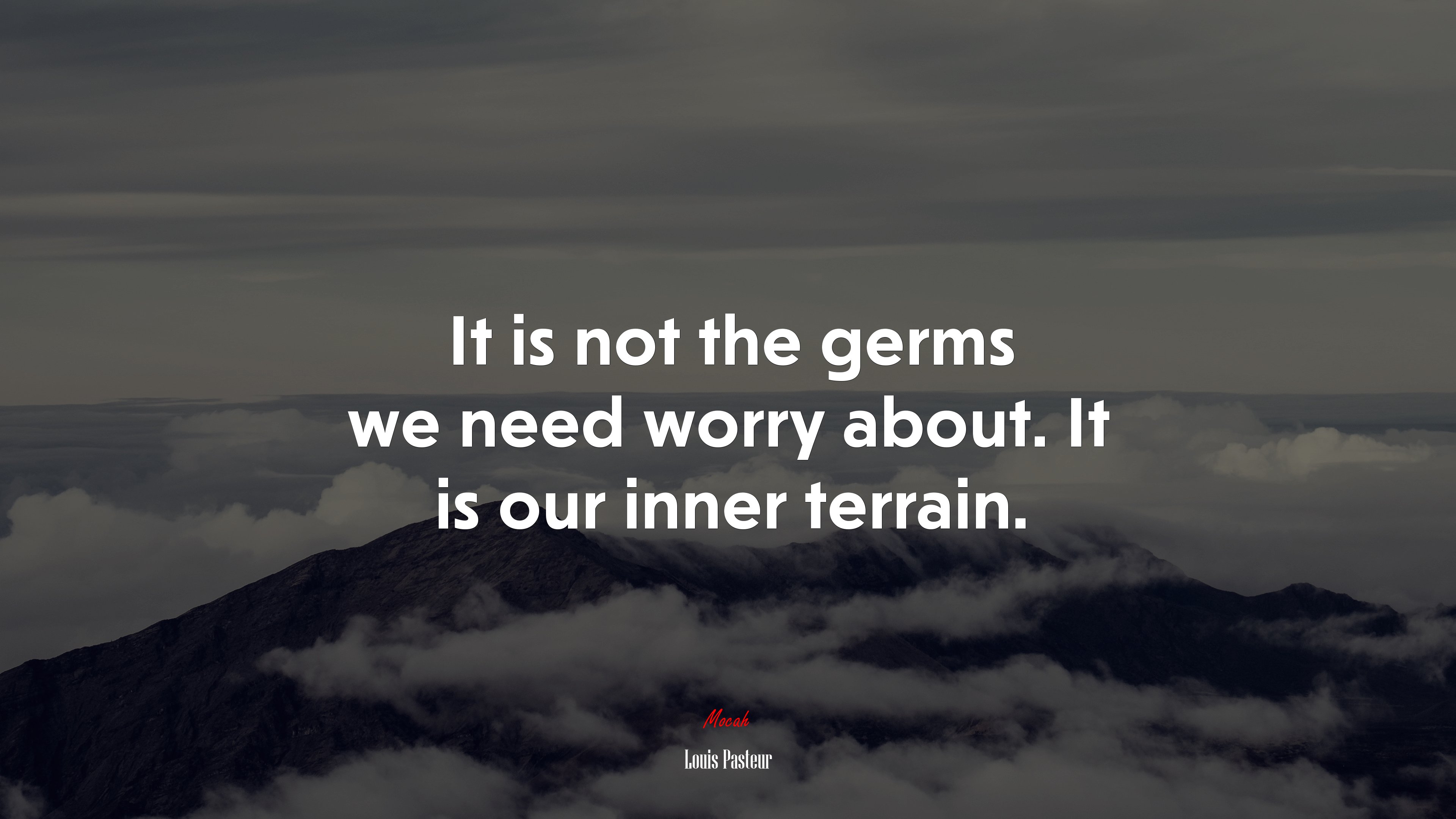 It is not the germs we need worry about. It is our inner terrain. | Louis Pasteur quote HD Wallpaper