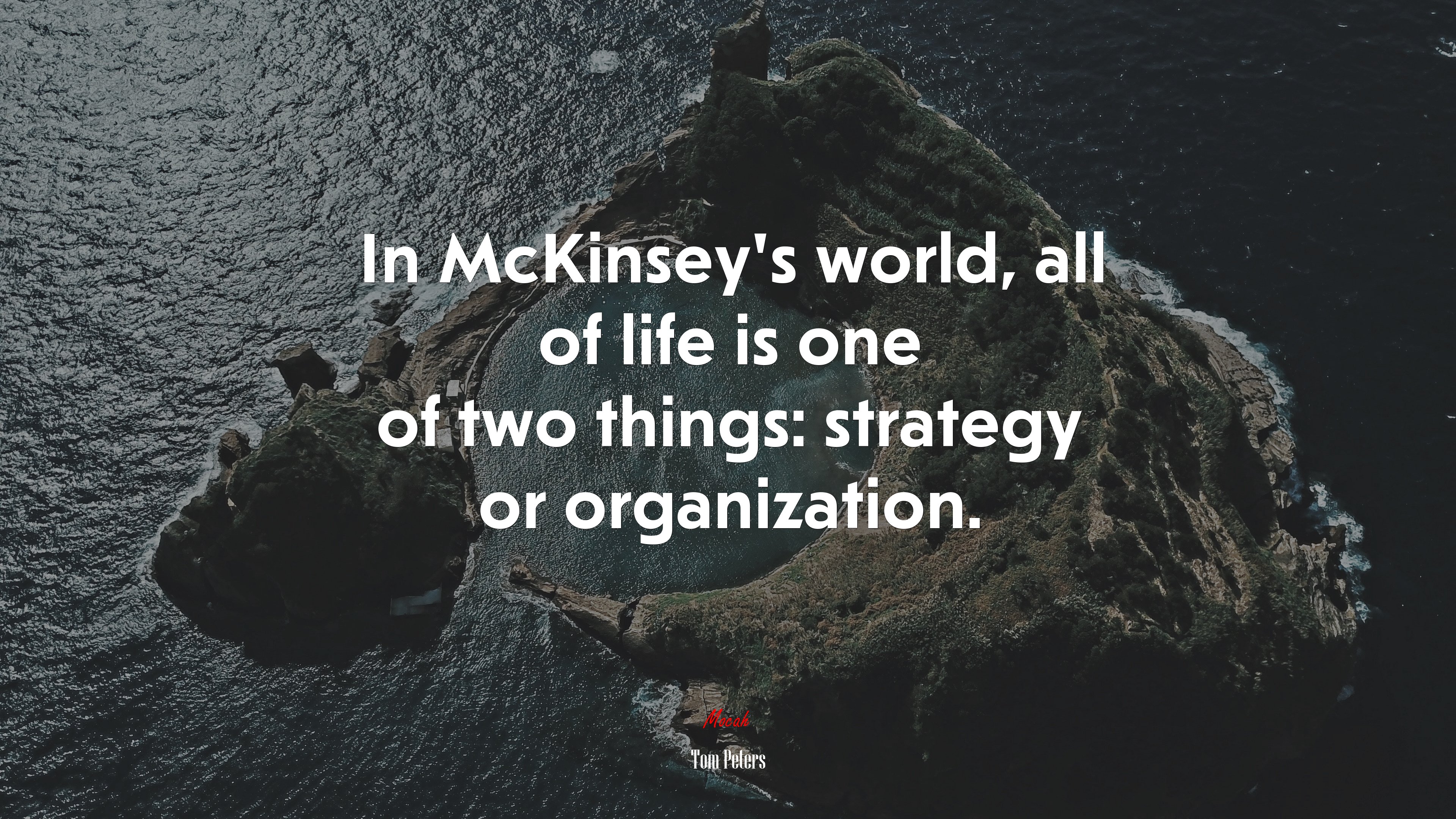 In McKinsey’s world, all of life is one of two things: strategy or organization. | Tom Peters quote HD Wallpaper