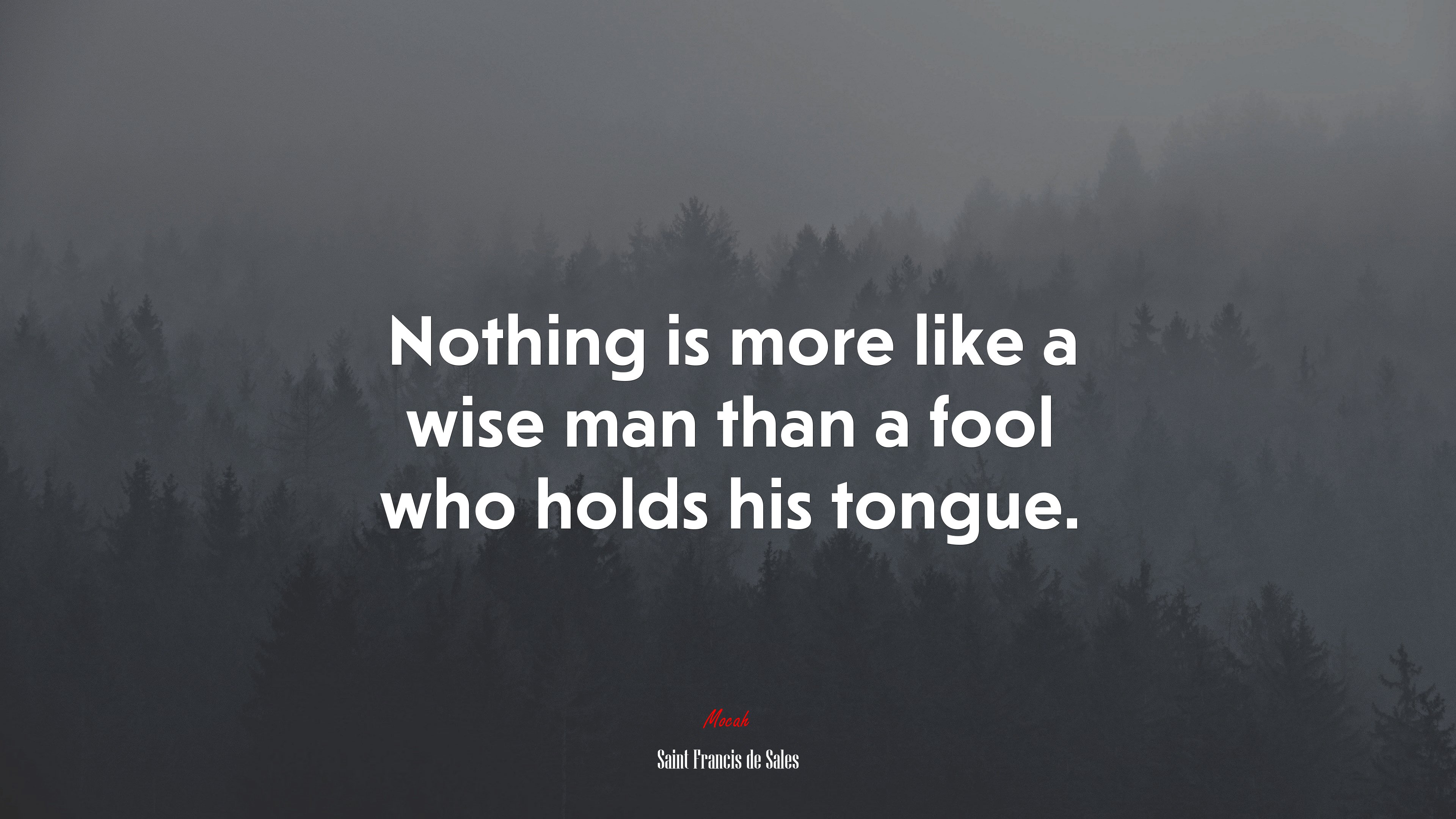 Nothing is more like a wise man than a fool who holds his tongue. | Saint Francis de Sales quote HD Wallpaper