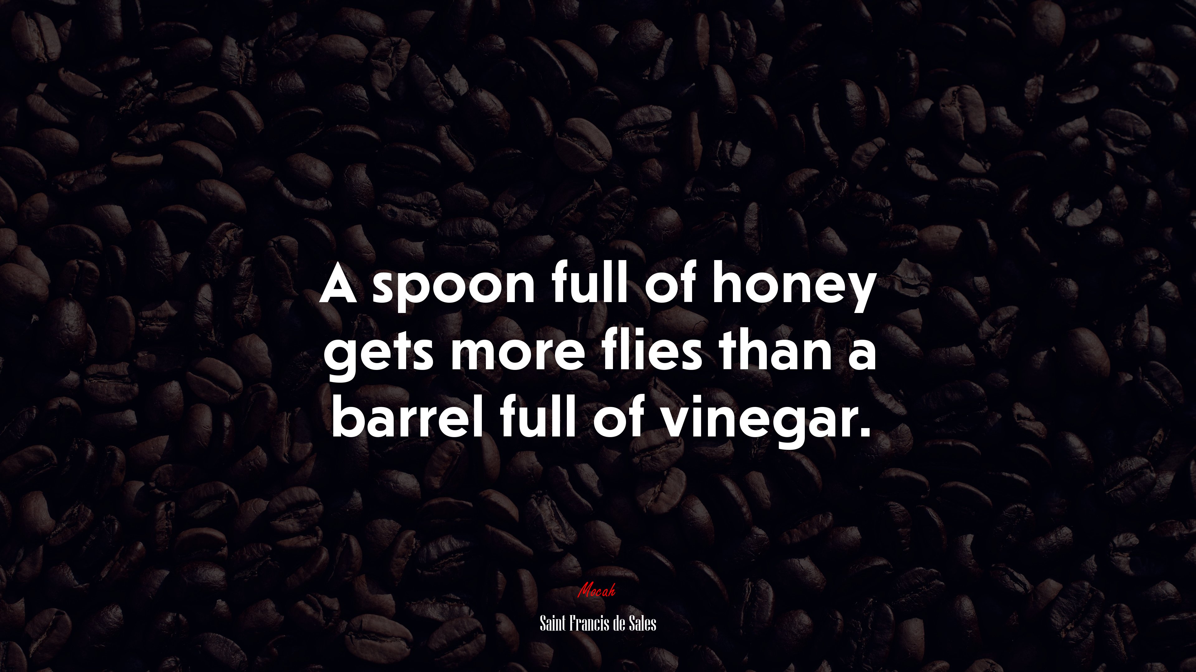 A spoon full of honey gets more flies than a barrel full of vinegar. | Saint Francis de Sales quote HD Wallpaper