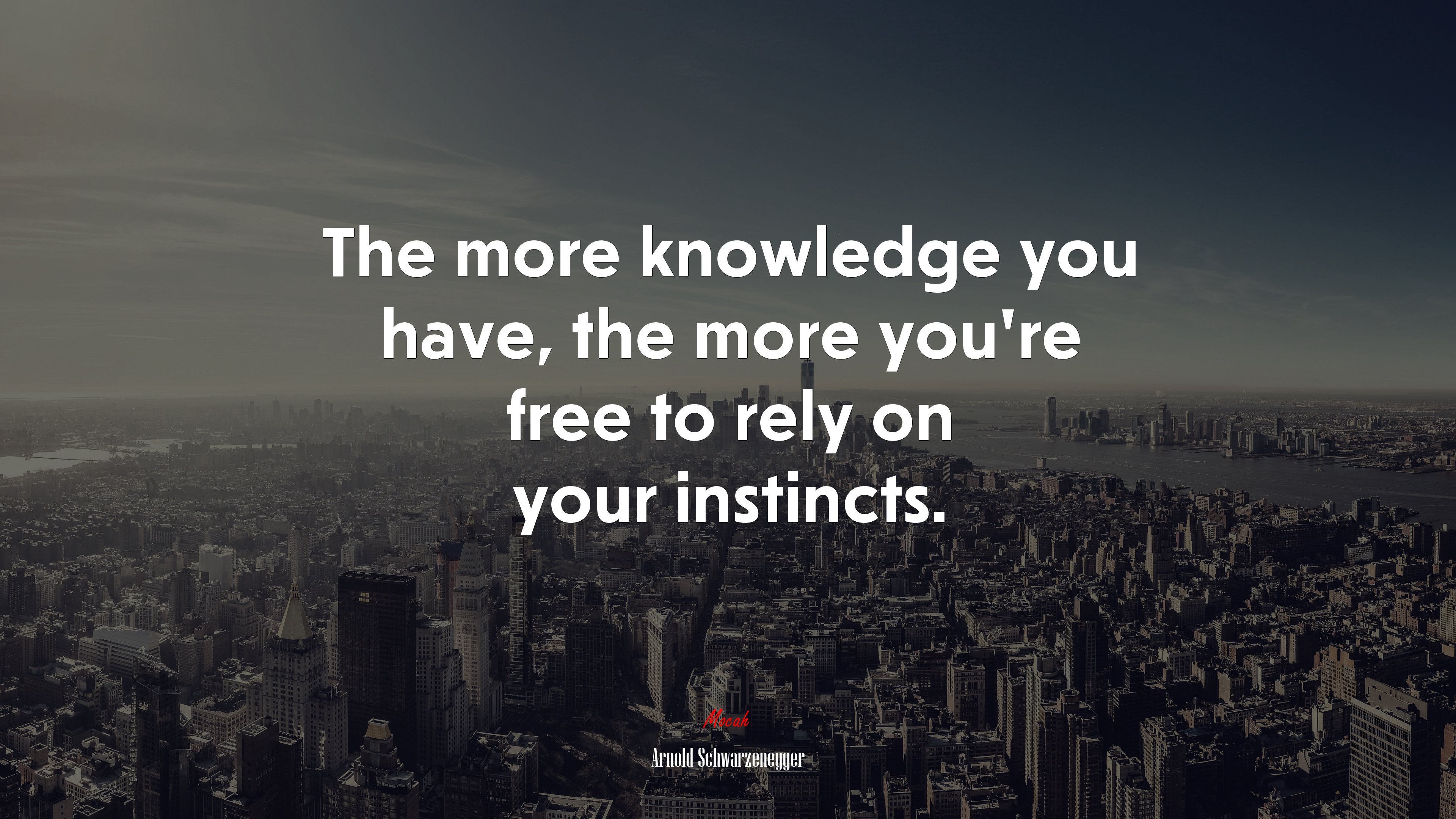 The more knowledge you have, the more you’re free to rely on your instincts. | Arnold Schwarzenegger quote HD Wallpaper