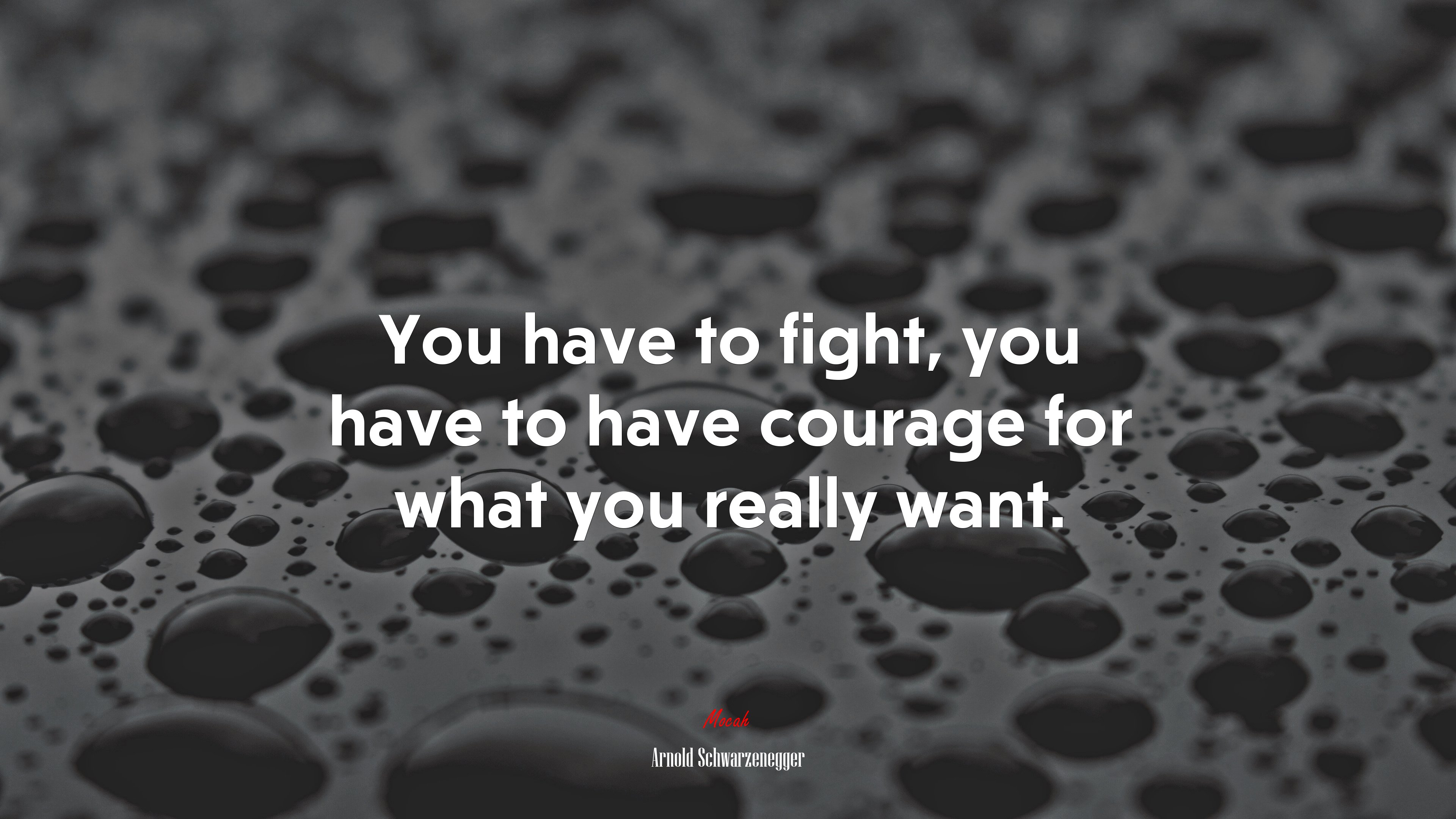 You have to fight, you have to have courage for what you really want. | Arnold Schwarzenegger quote HD Wallpaper