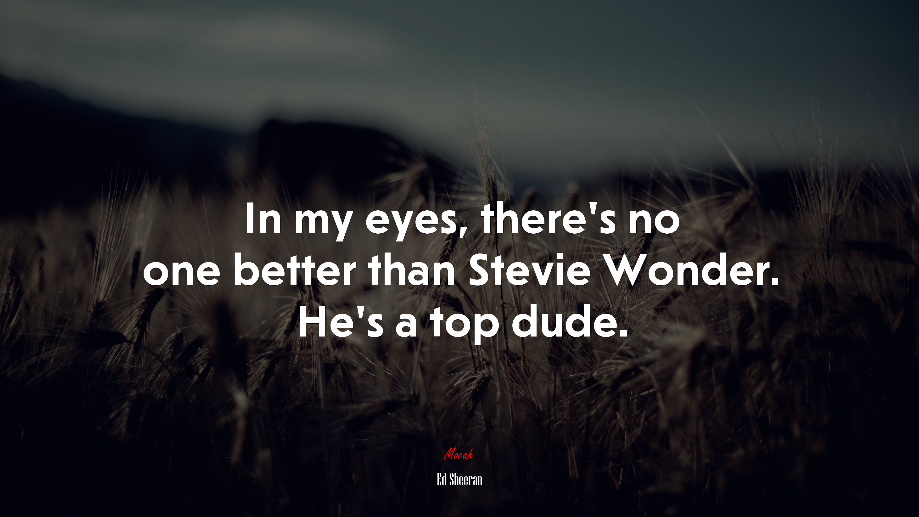 In my eyes, there’s no one better than Stevie Wonder. He’s a top dude. | Ed Sheeran quote HD Wallpaper
