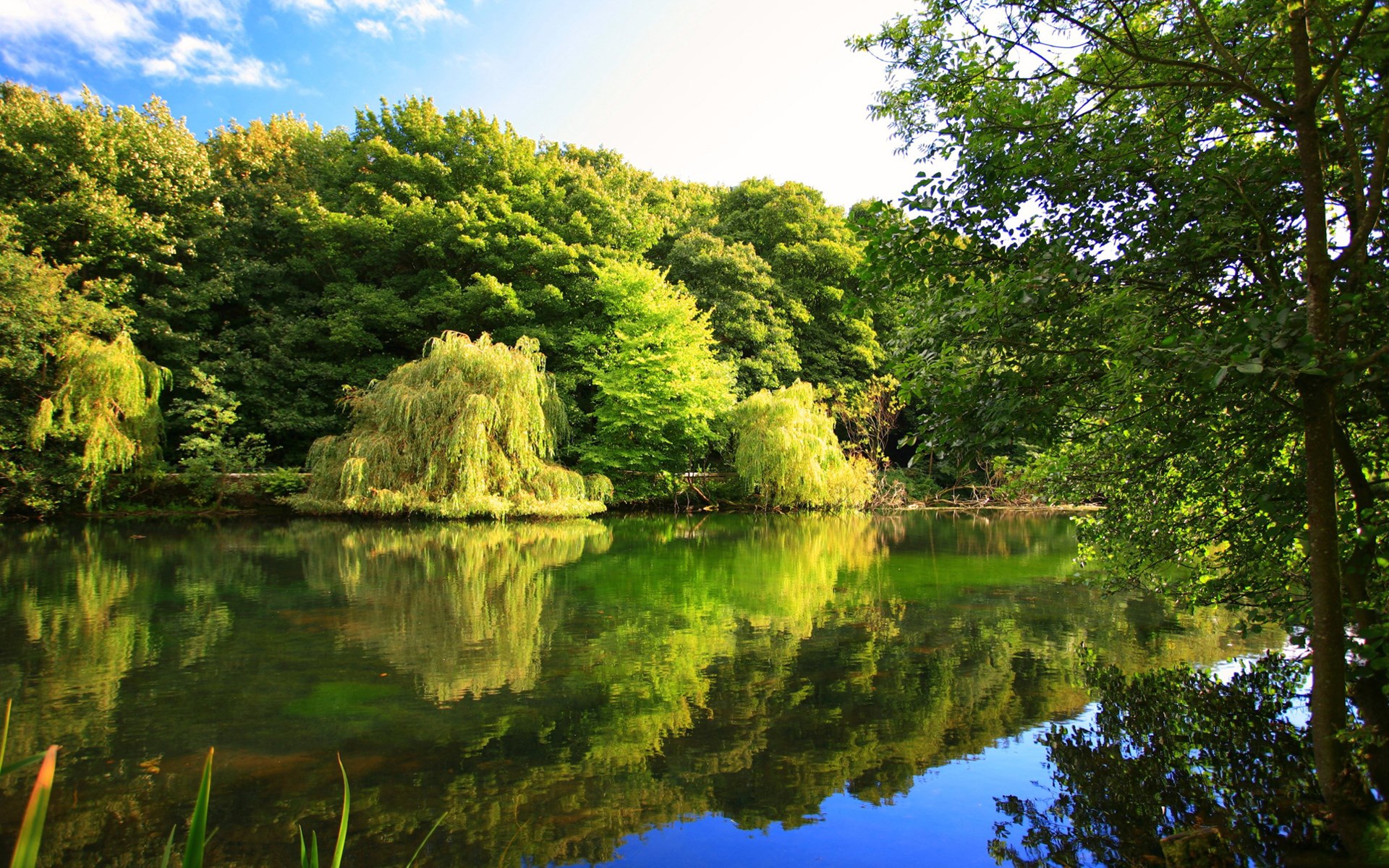 Trees reflected in a calm lake under a blue sky HD Wallpaper