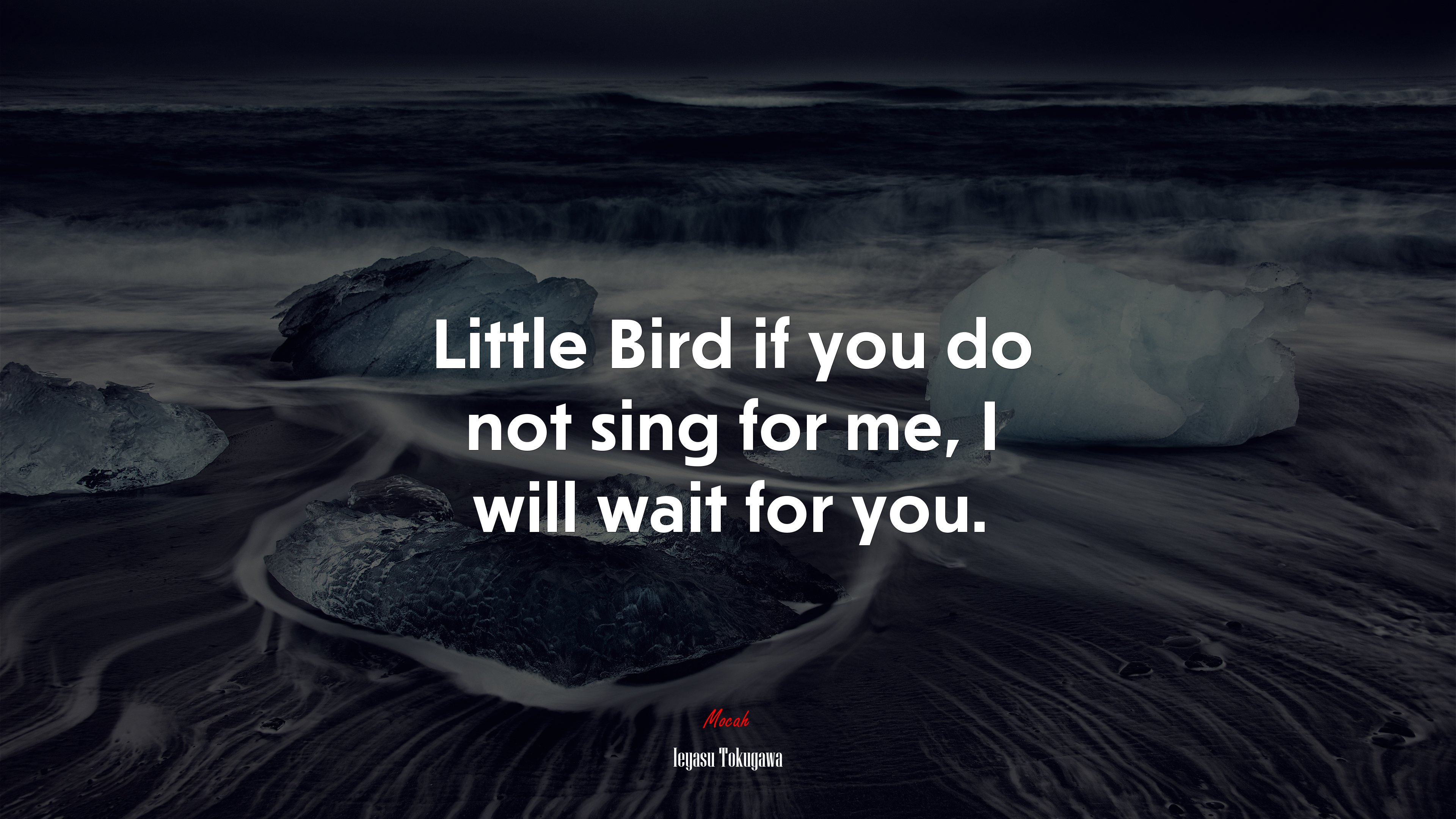 Little Bird if you do not sing for me, I will wait for you. | Ieyasu Tokugawa quote HD Wallpaper