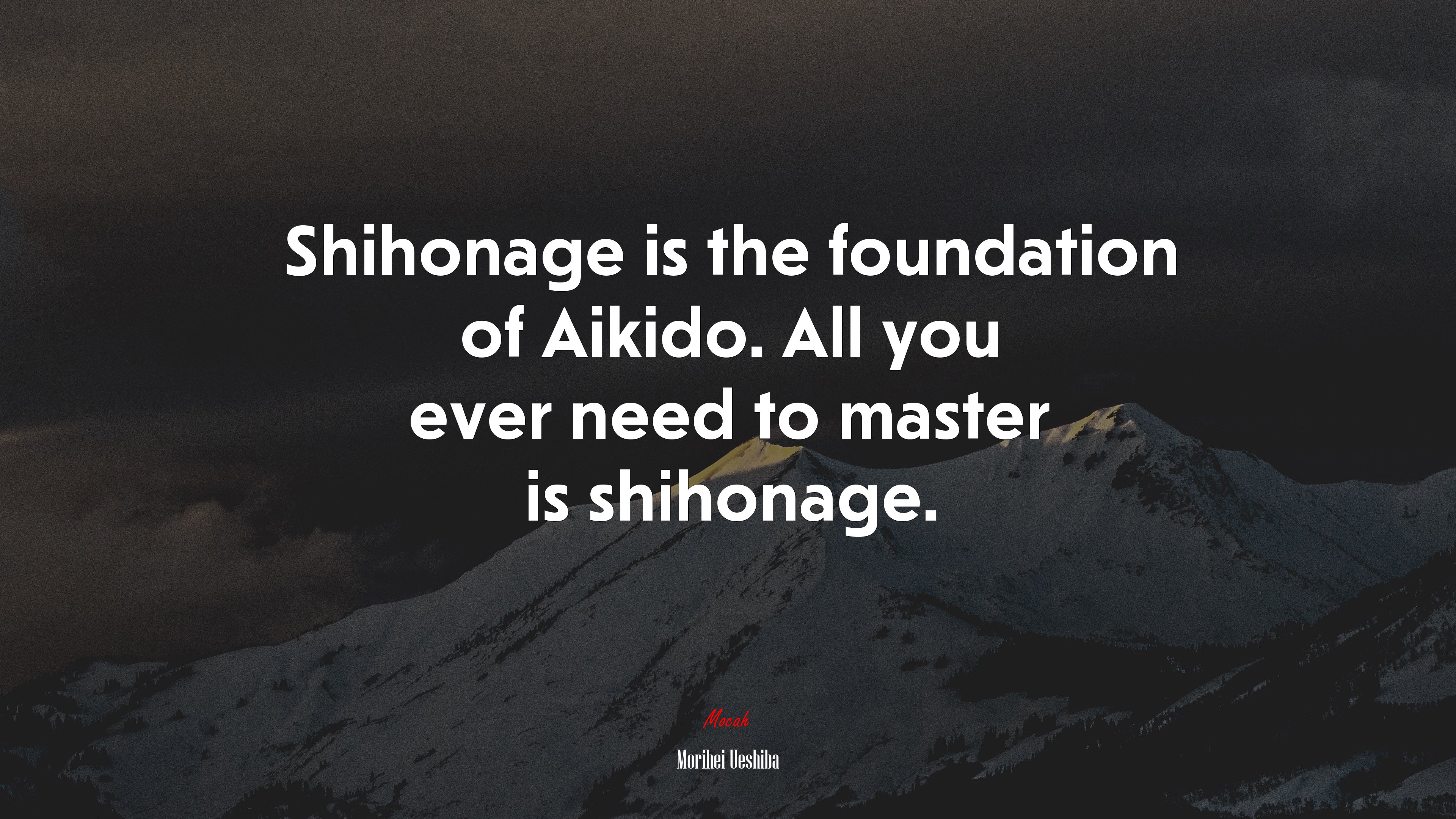 Shihonage is the foundation of Aikido. All you ever need to master is shihonage. | Morihei Ueshiba quote HD Wallpaper