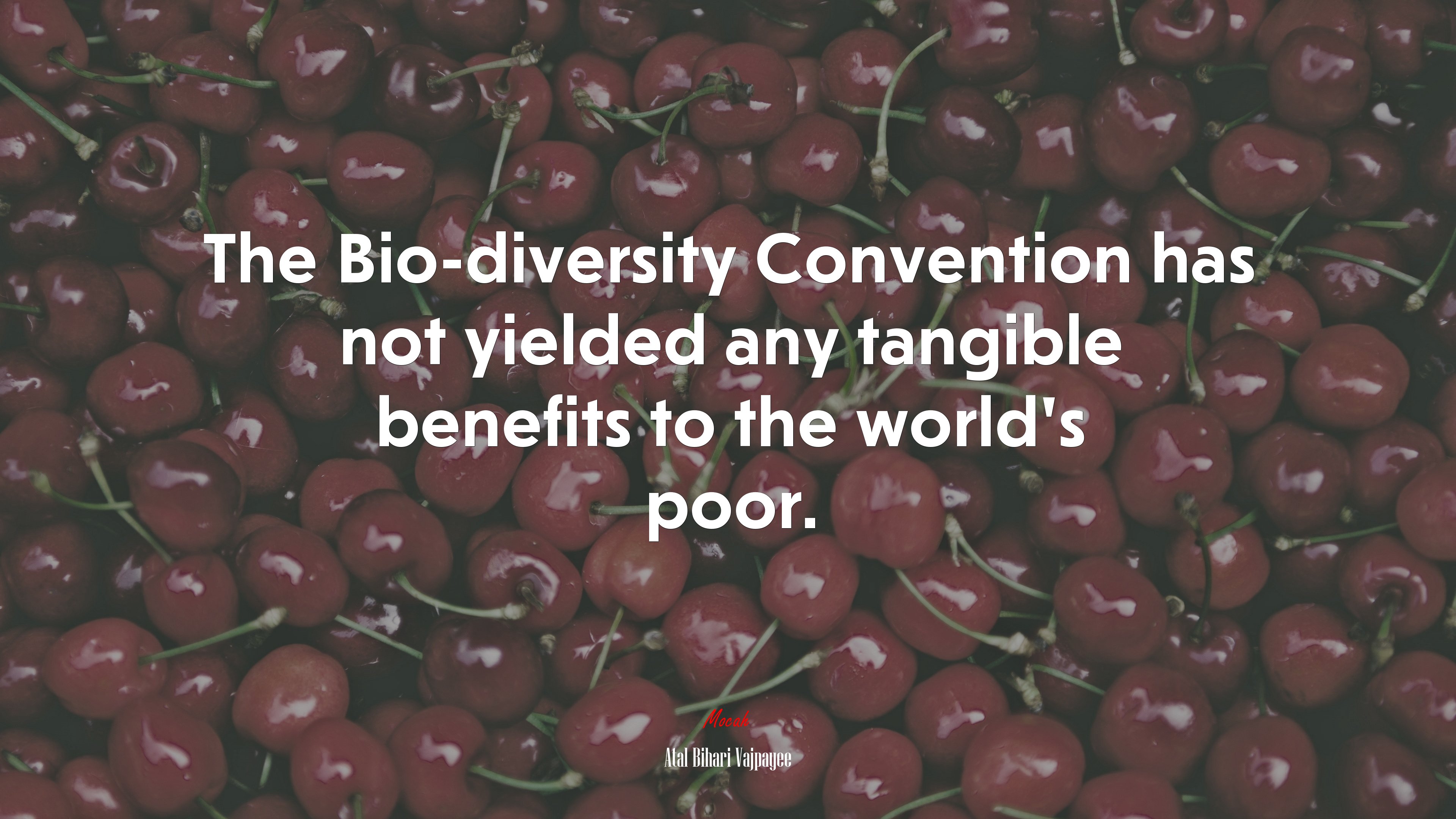 The Bio-diversity Convention has not yielded any tangible benefits to the world’s poor. | Atal Bihari Vajpayee quote HD Wallpaper