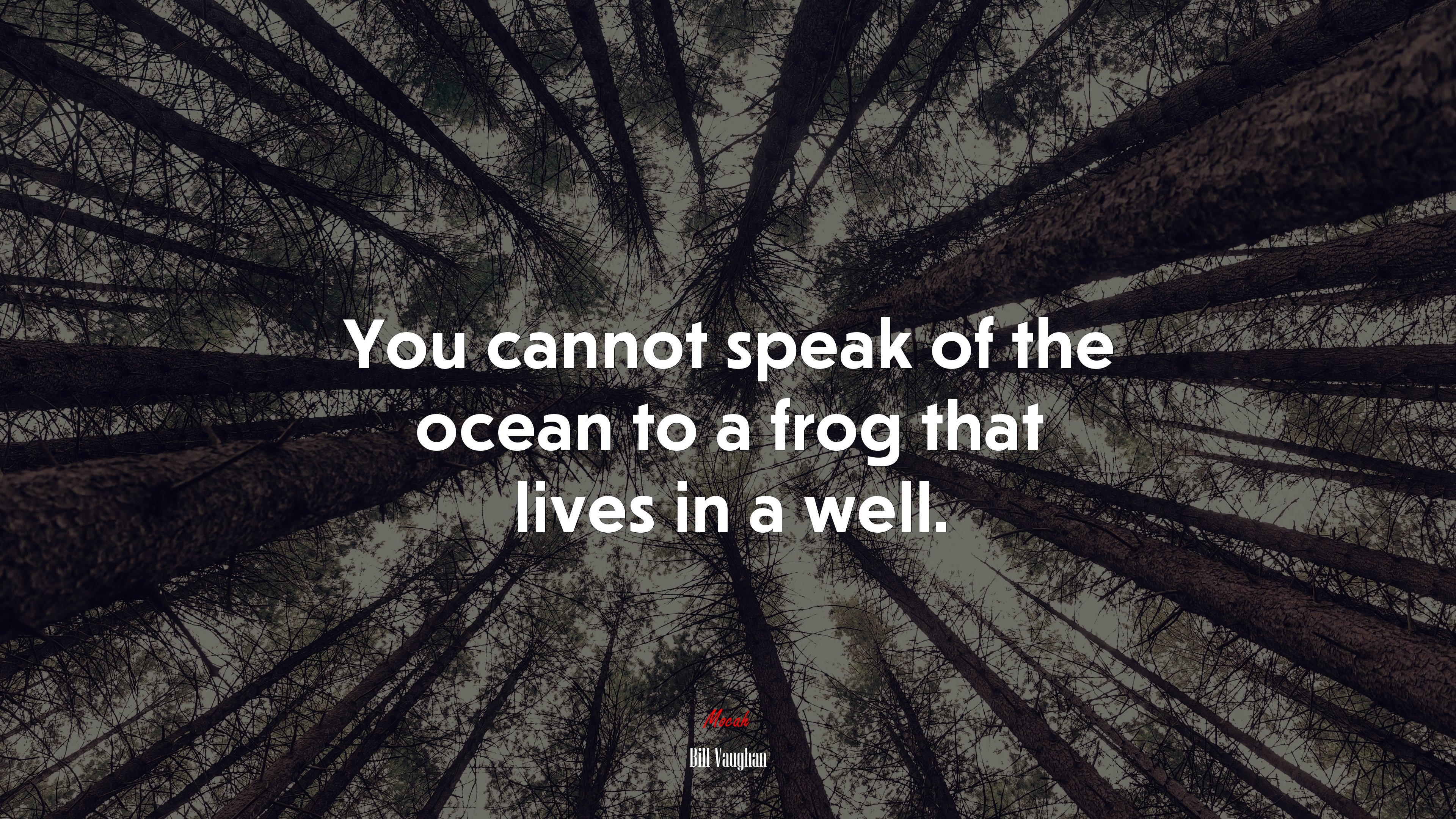 You cannot speak of the ocean to a frog that lives in a well. | Bill Vaughan quote HD Wallpaper