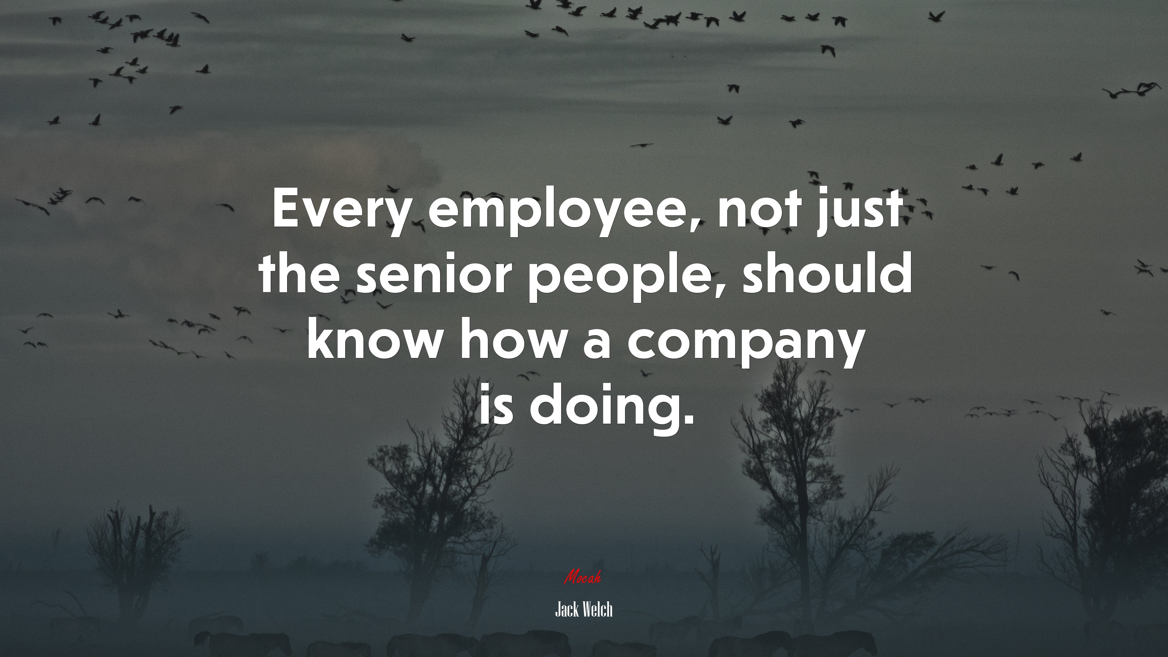 Every employee, not just the senior people, should know how a company is doing. | Jack Welch quote HD Wallpaper