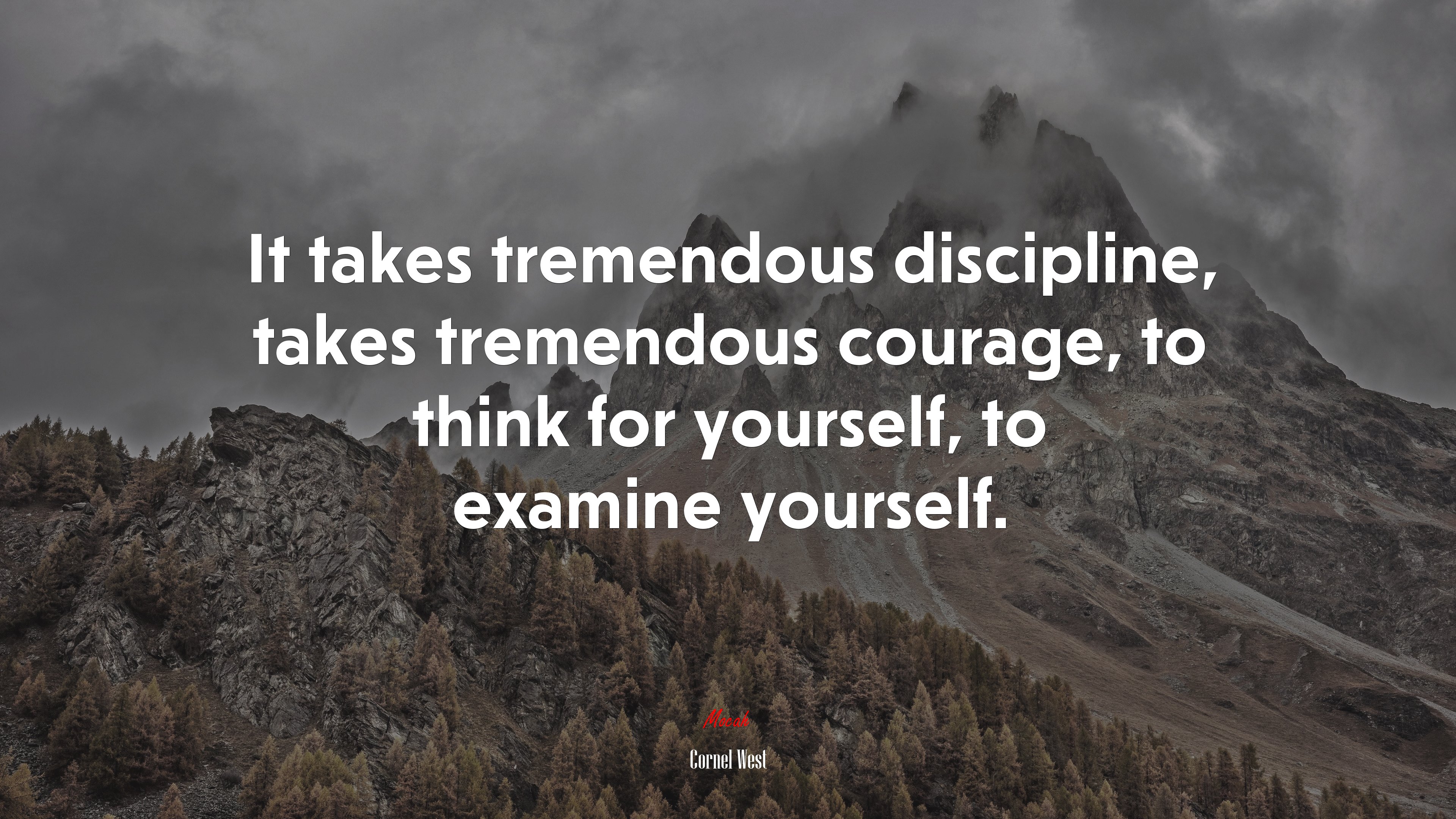 It takes tremendous discipline, takes tremendous courage, to think for yourself, to examine yourself. | Cornel West quote HD Wallpaper