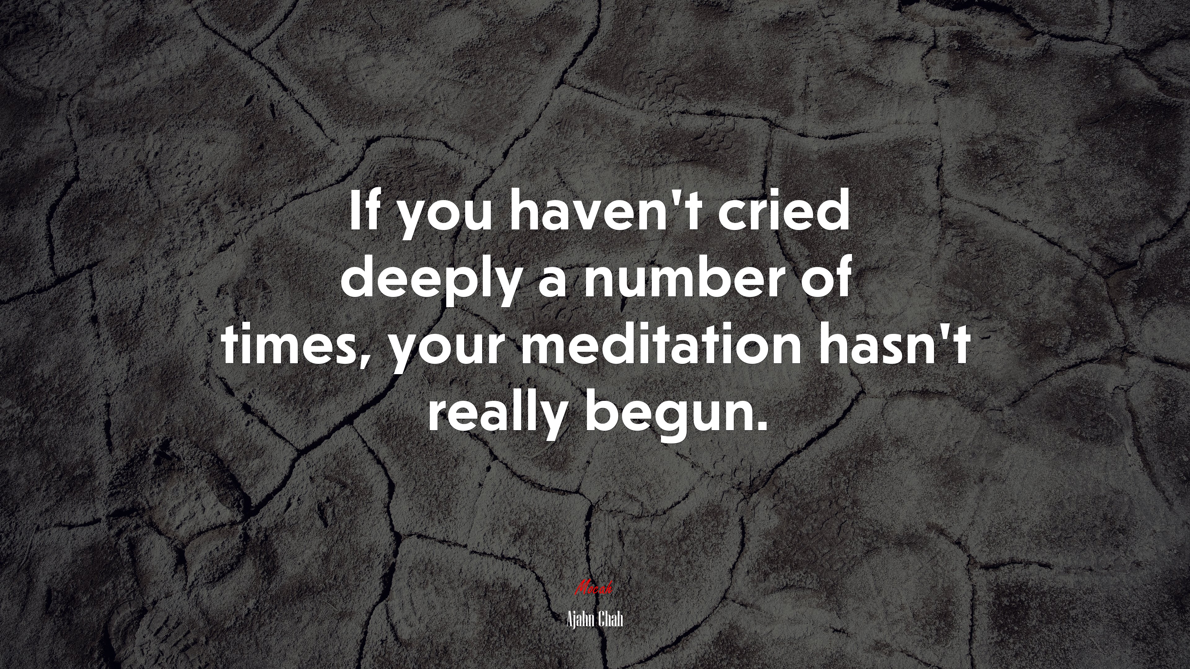 If you haven’t cried deeply a number of times, your meditation hasn’t really begun. | Ajahn Chah quote HD Wallpaper