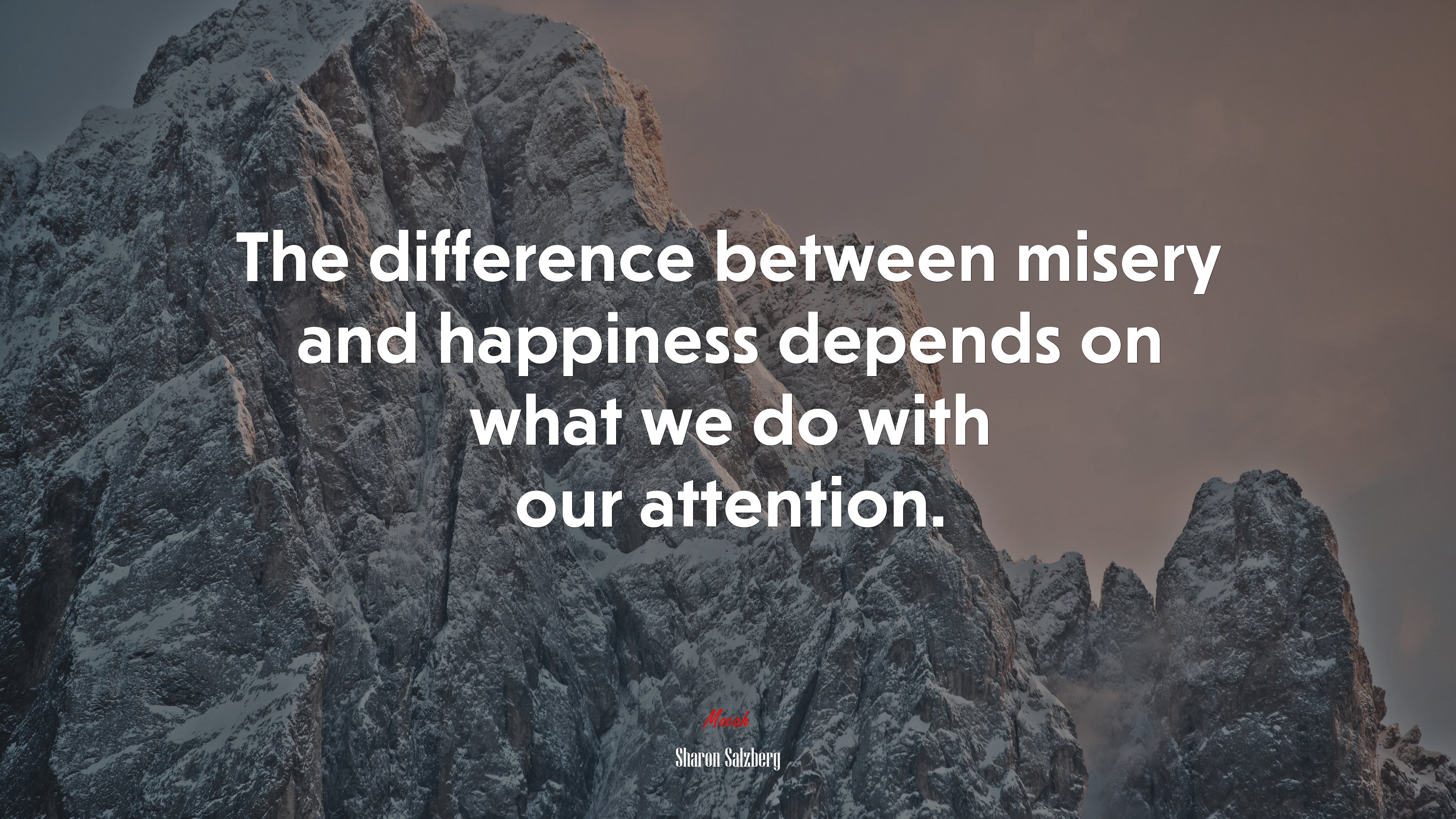 The difference between misery and happiness depends on what we do with our attention. | Sharon Salzberg quote HD Wallpaper