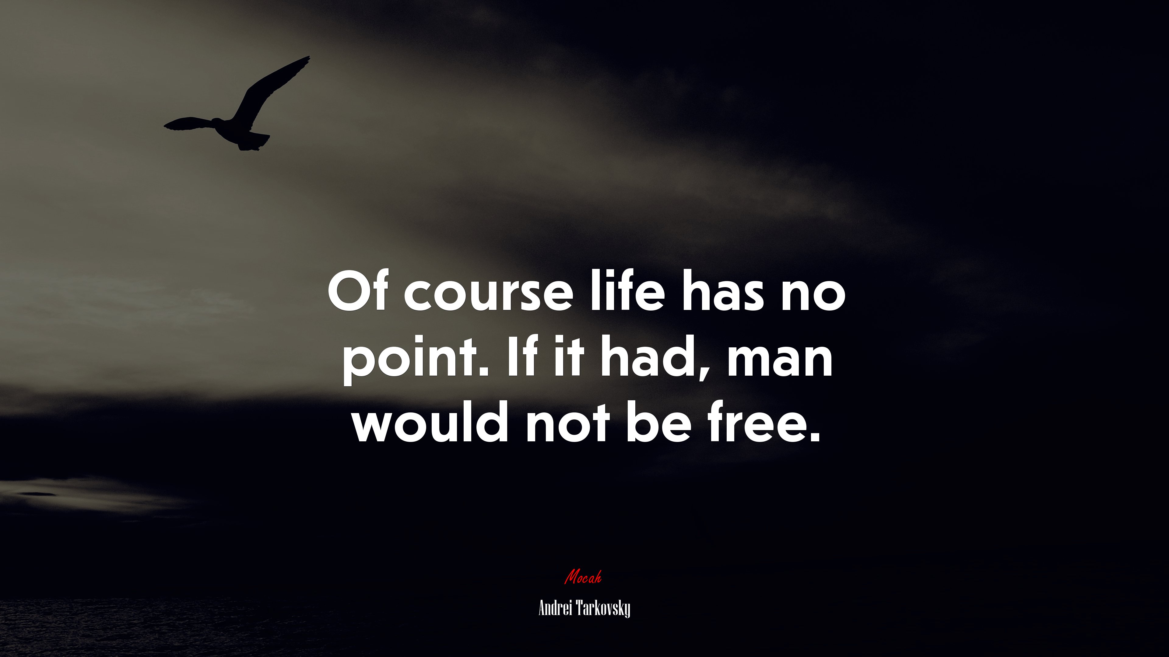 Of course life has no point. If it had, man would not be free. | Andrei Tarkovsky quote HD Wallpaper