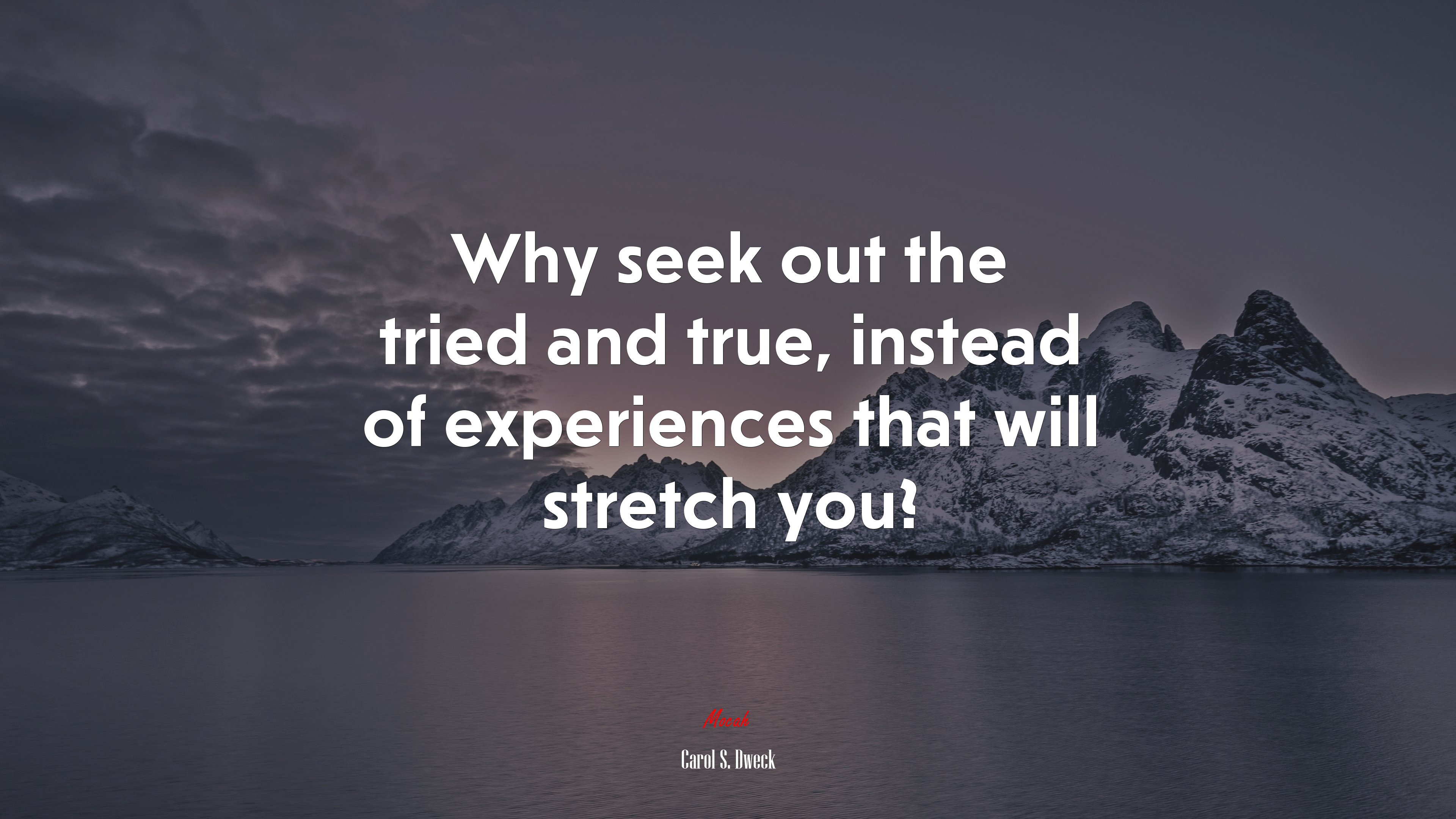 Why seek out the tried and true, instead of experiences that will stretch you? | Carol S. Dweck quote HD Wallpaper