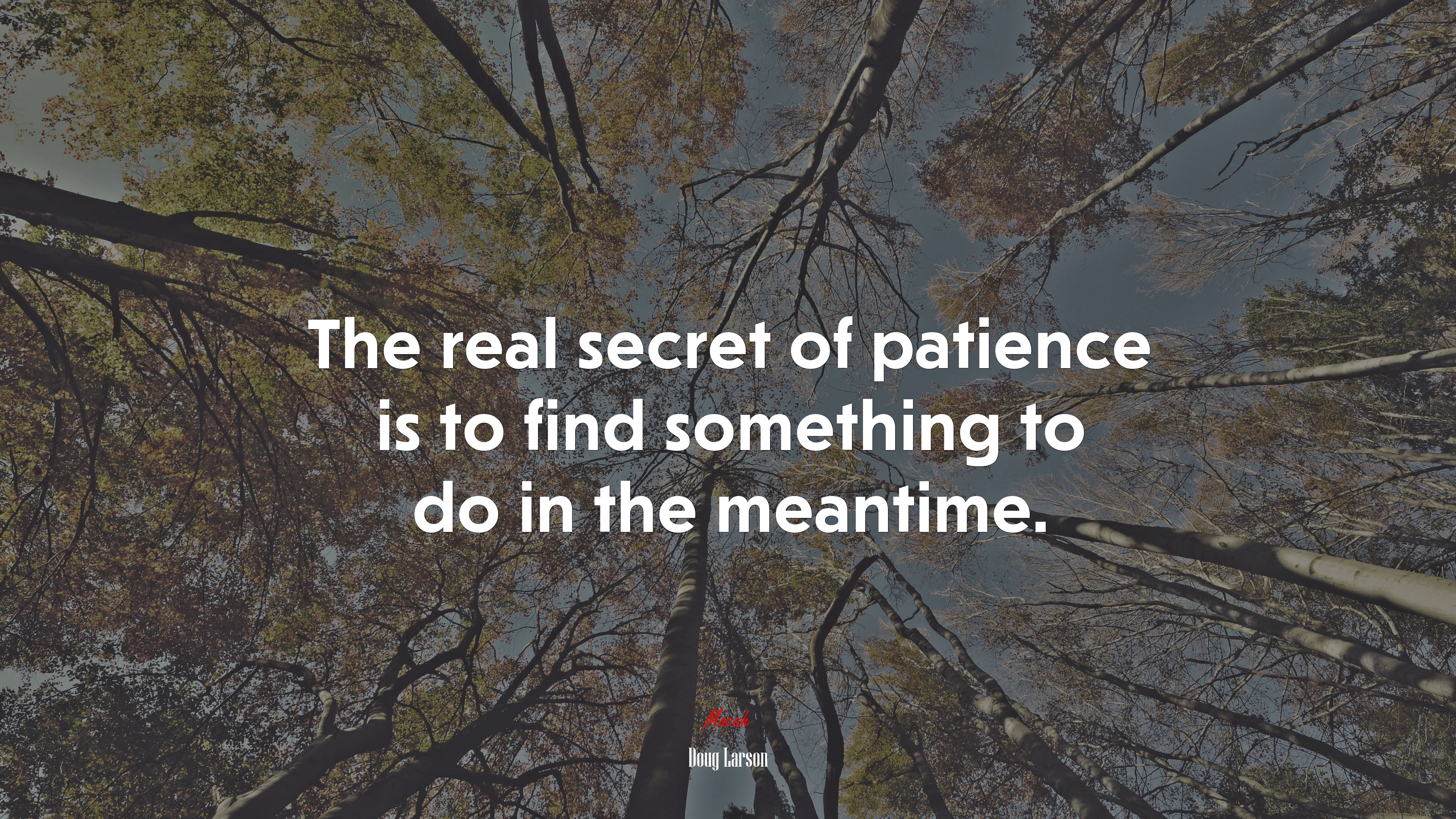 The real secret of patience is to find something to do in the meantime. | Doug Larson quote HD Wallpaper