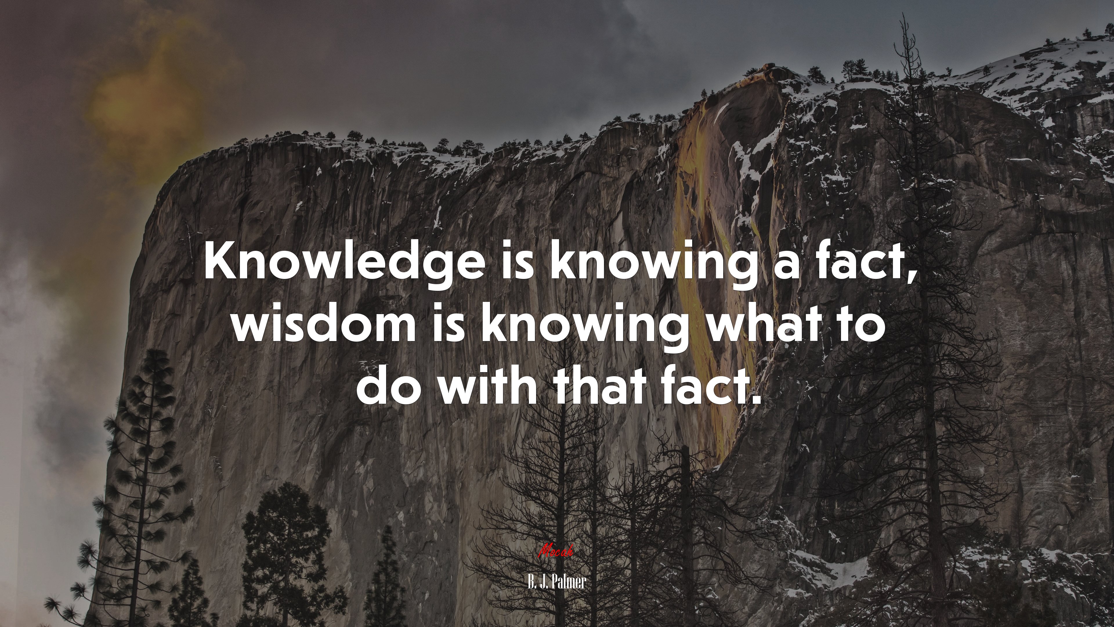Knowledge is knowing a fact, wisdom is knowing what to do with that fact. | B. J. Palmer quote HD Wallpaper