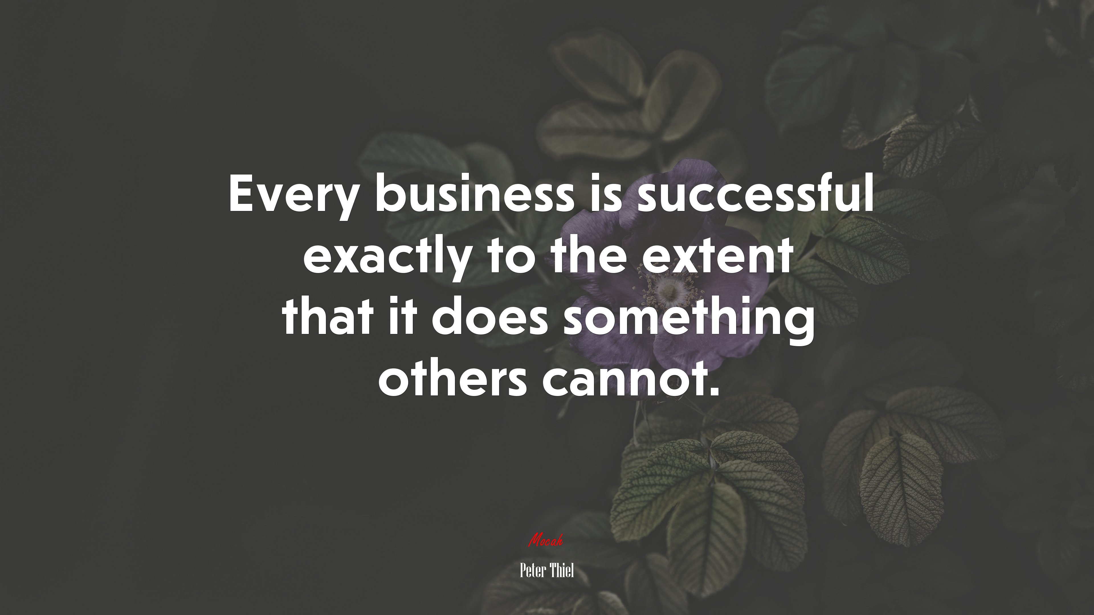 Every business is successful exactly to the extent that it does something others cannot. | Peter Thiel quote HD Wallpaper