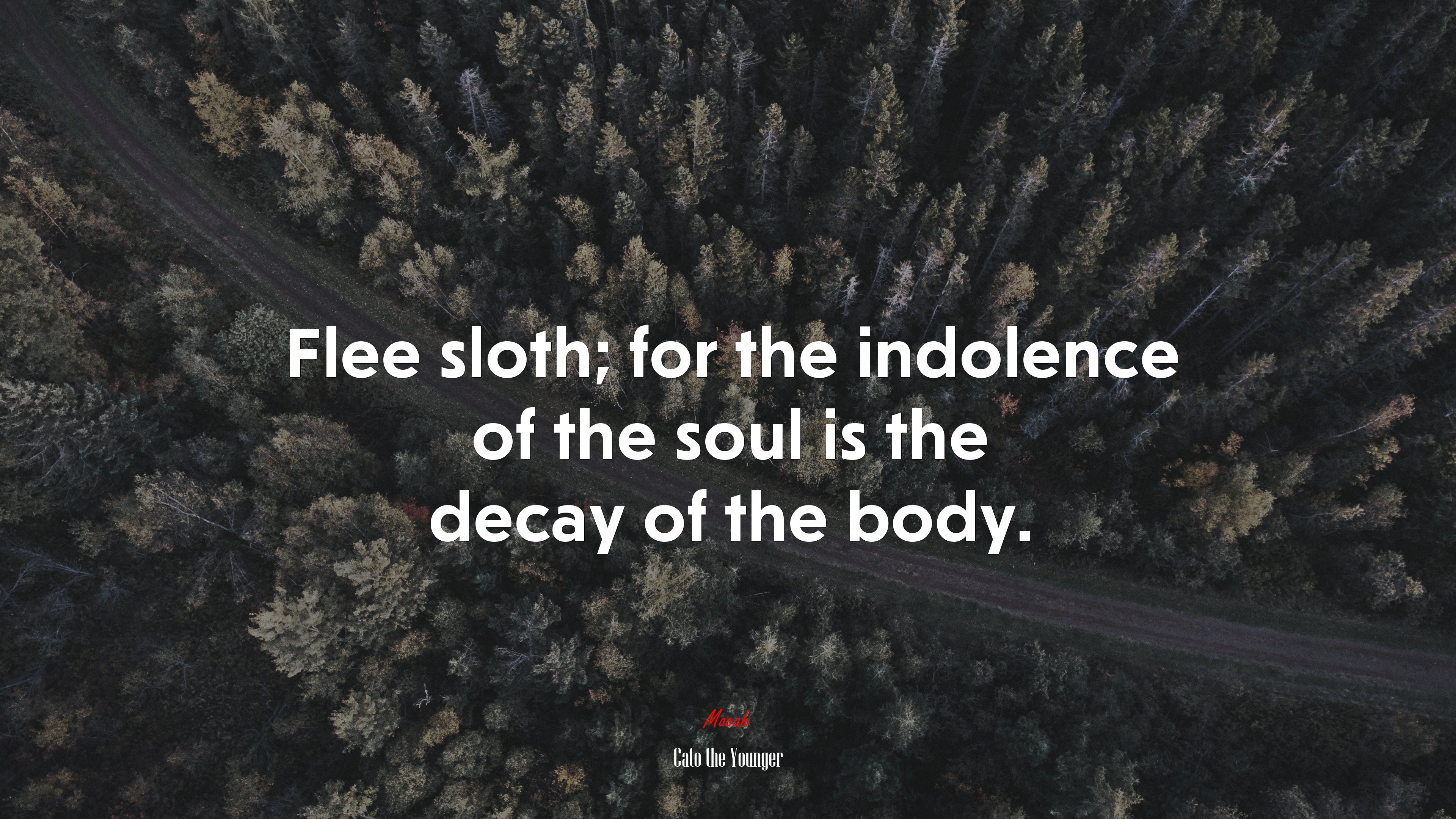 Flee sloth; for the indolence of the soul is the decay of the body. | Cato the Younger quote HD Wallpaper
