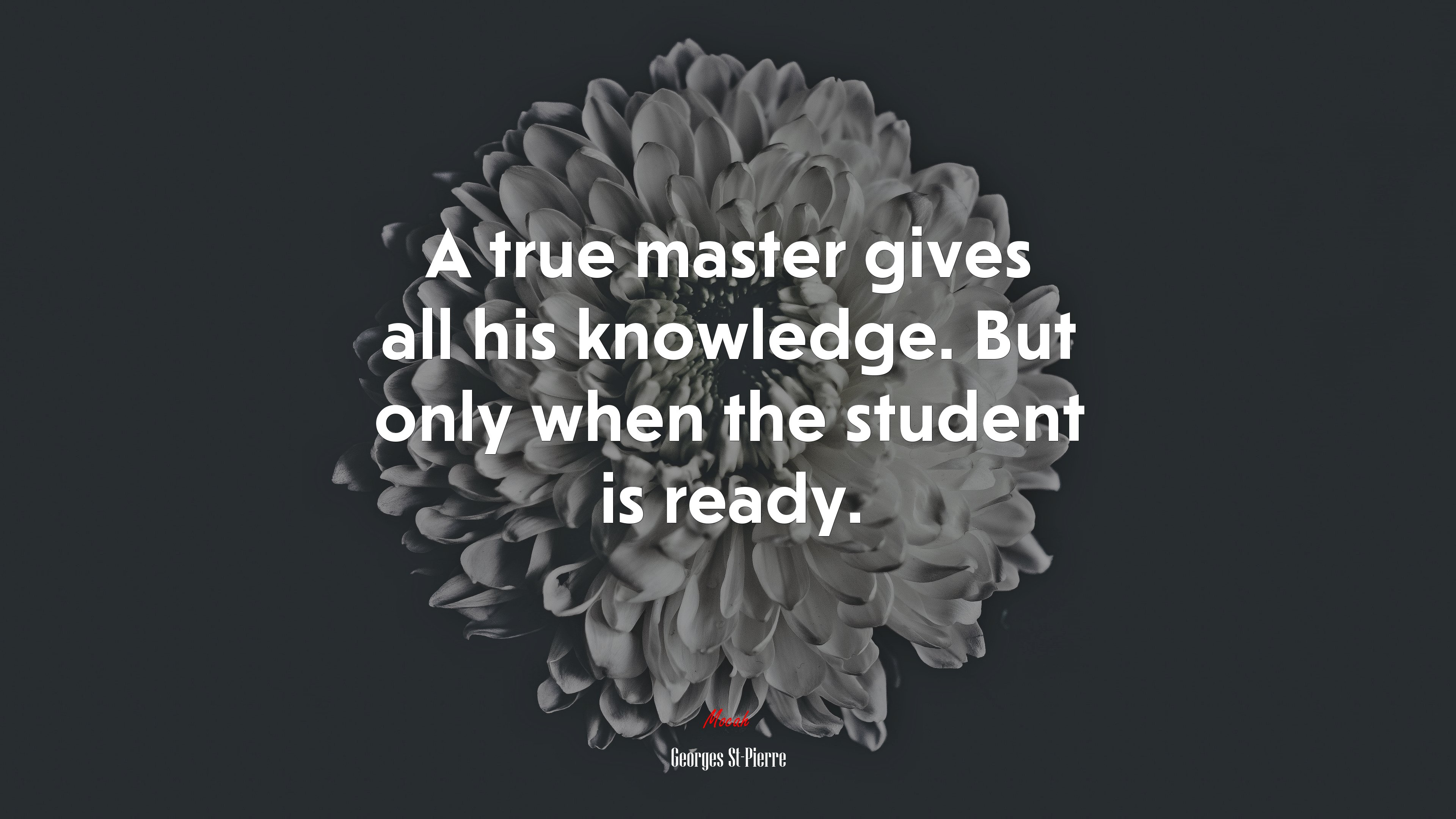 A true master gives all his knowledge. But only when the student is ready. | Georges St-Pierre quote HD Wallpaper