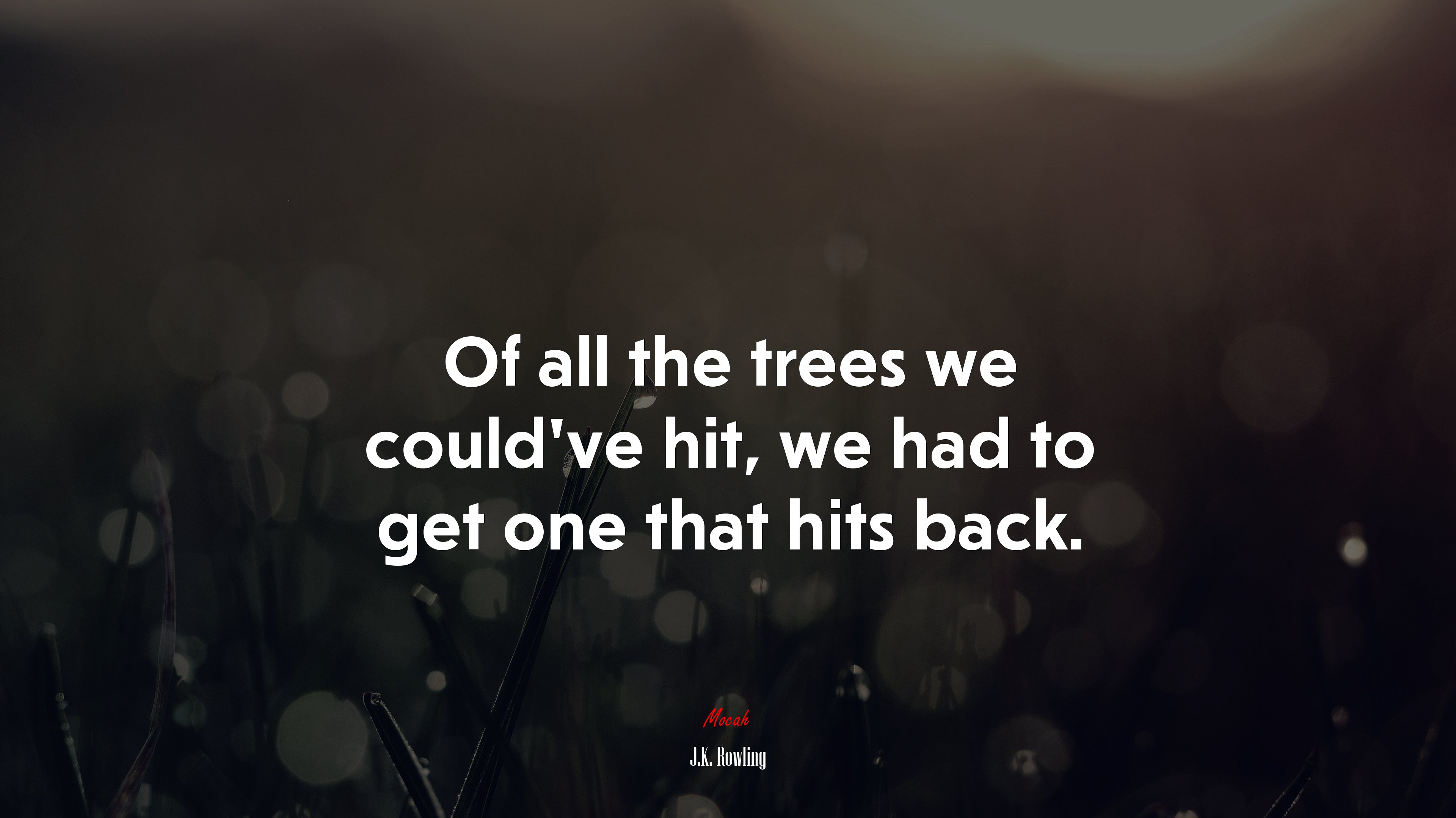 Of all the trees we could’ve hit, we had to get one that hits back. | J.K. Rowling quote HD Wallpaper