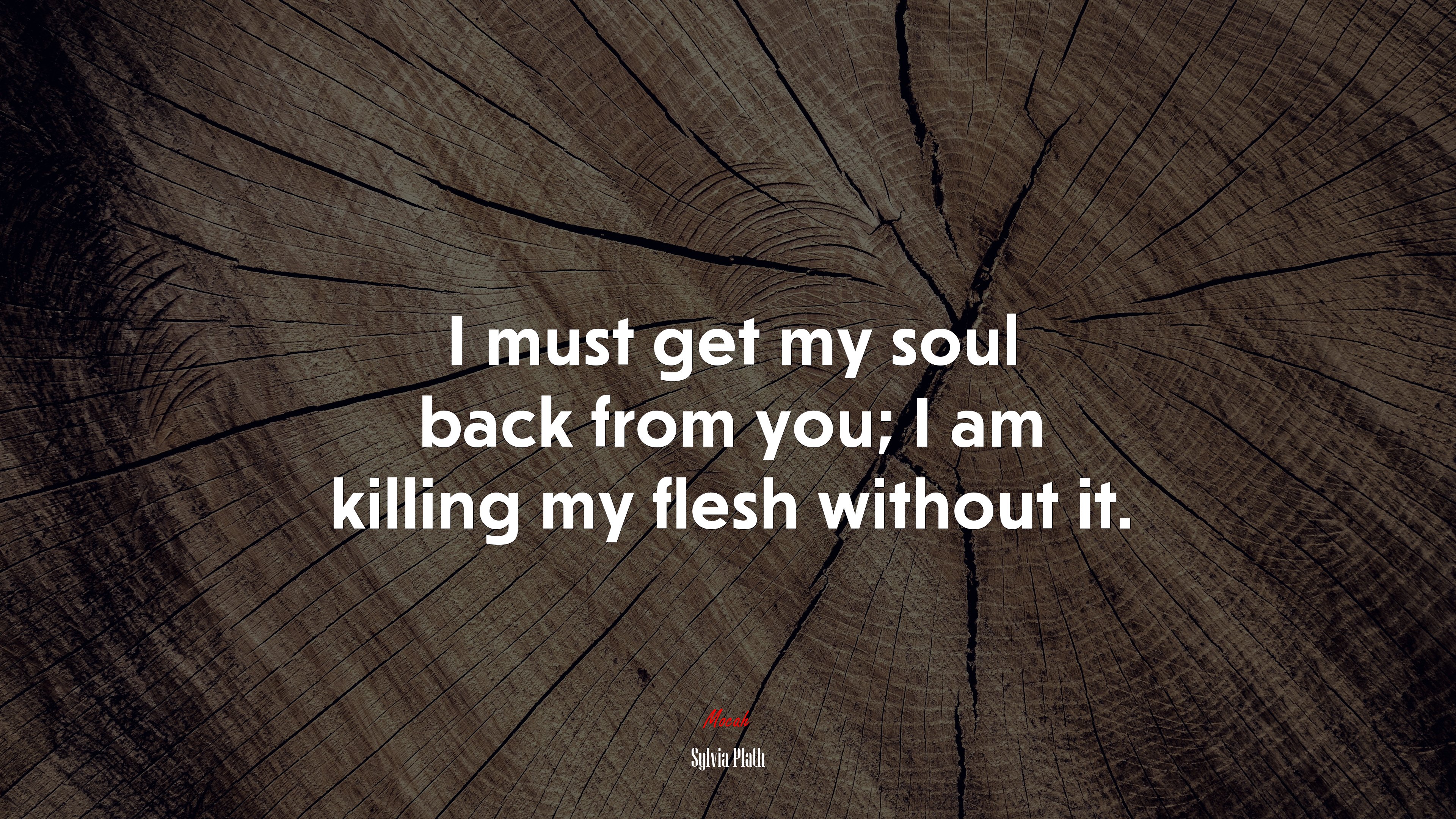 I must get my soul back from you; I am killing my flesh without it. | Sylvia Plath quote HD Wallpaper