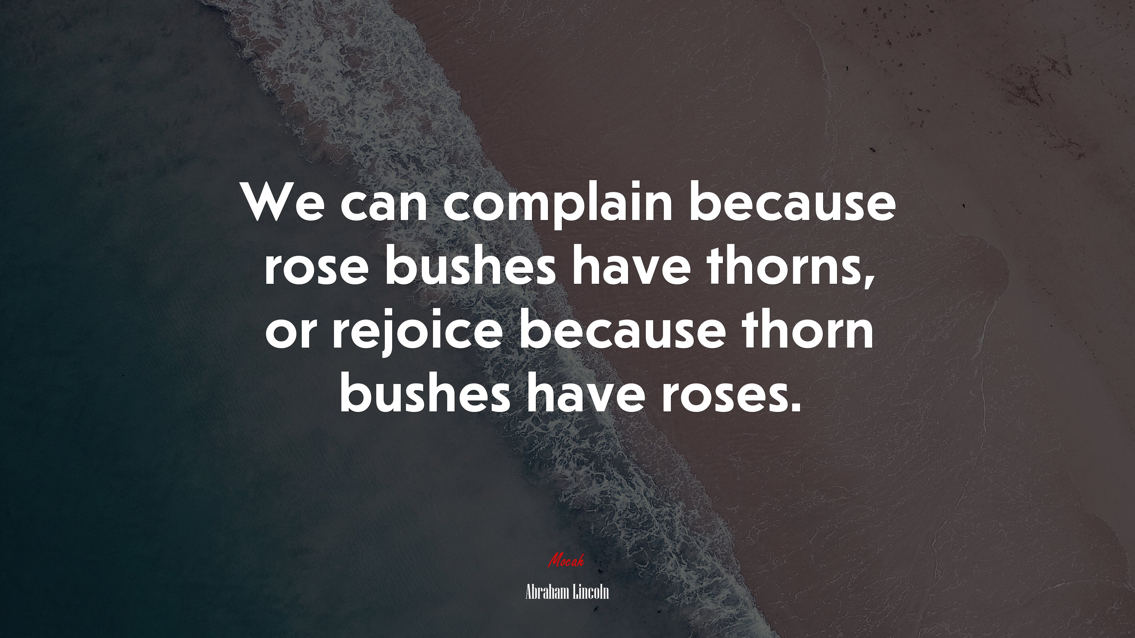 We can complain because rose bushes have thorns, or rejoice because thorn bushes have roses. | Abraham Lincoln quote HD Wallpaper