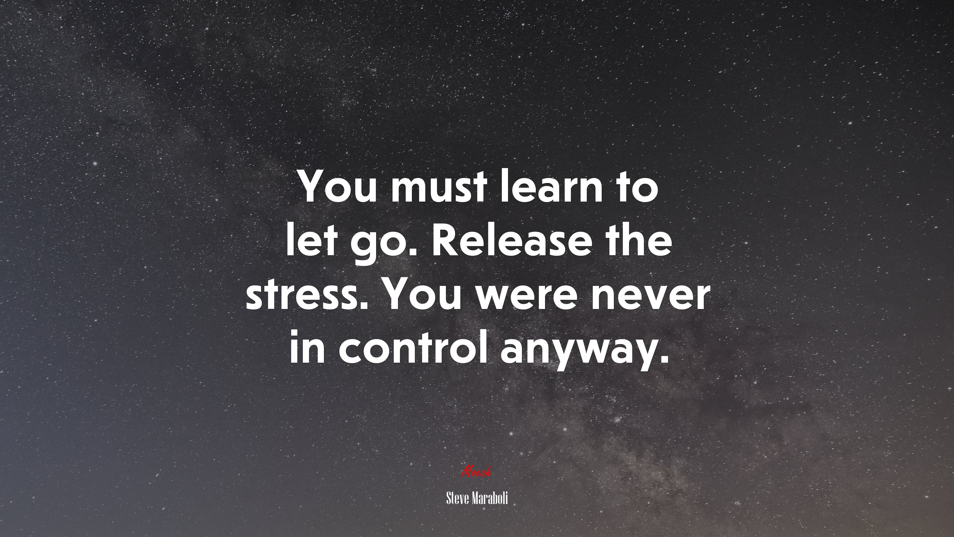 You must learn to let go. Release the stress. You were never in control anyway. | Steve Maraboli quote HD Wallpaper