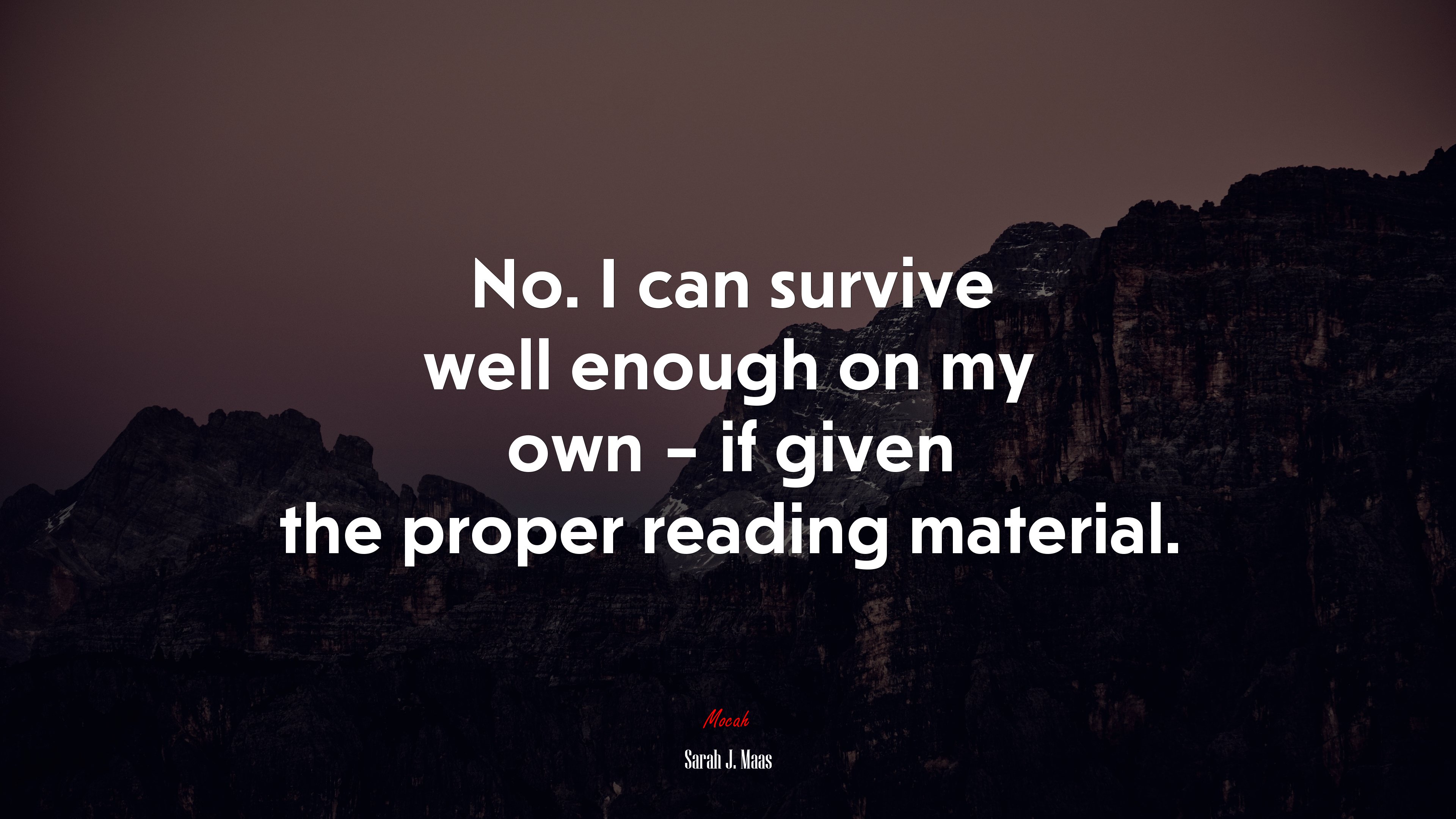 No. I can survive well enough on my own – if given the proper reading material. | Sarah J. Maas quote HD Wallpaper