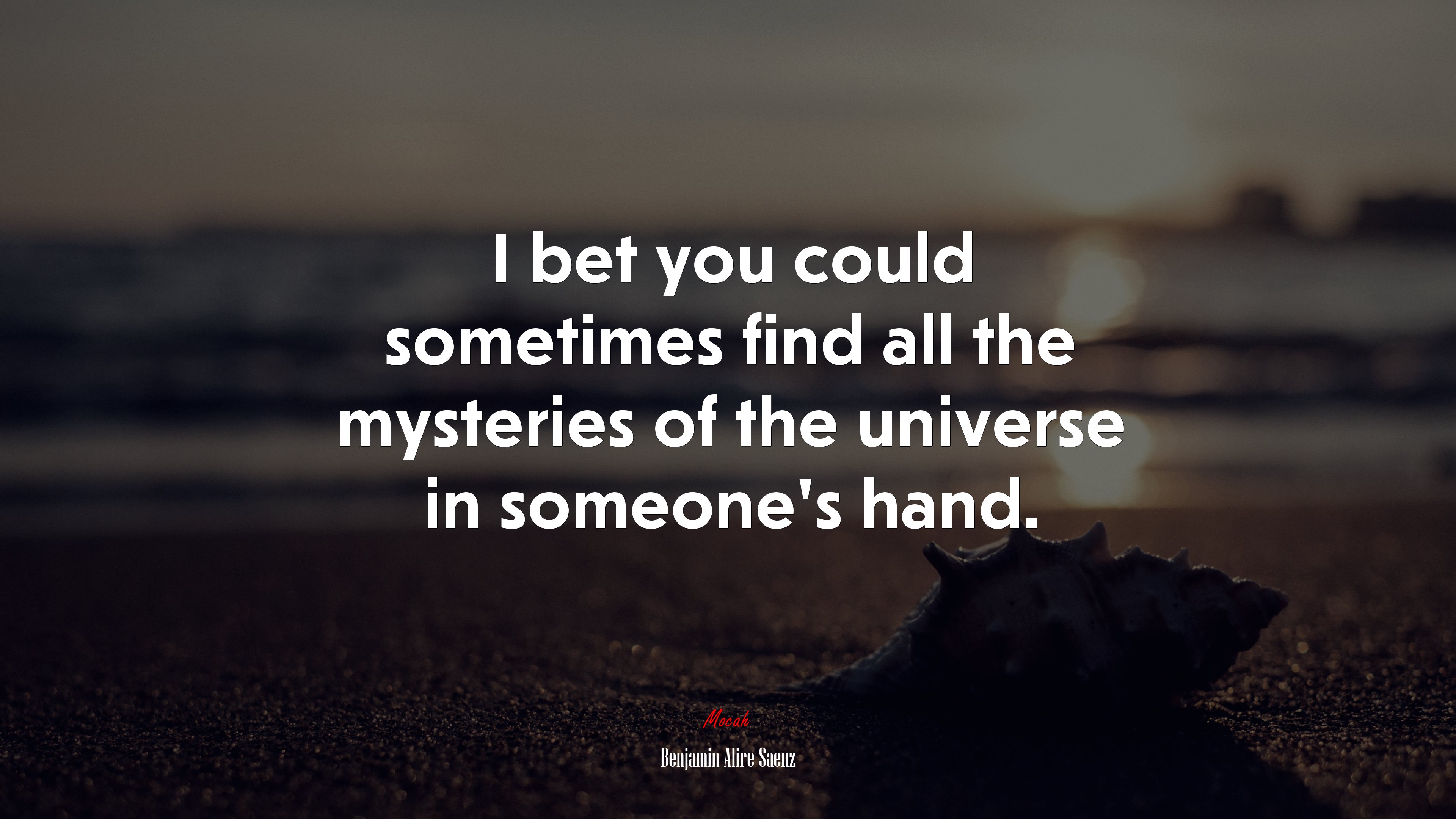 I bet you could sometimes find all the mysteries of the universe in someone’s hand. | Benjamin Alire Sáenz quote HD Wallpaper