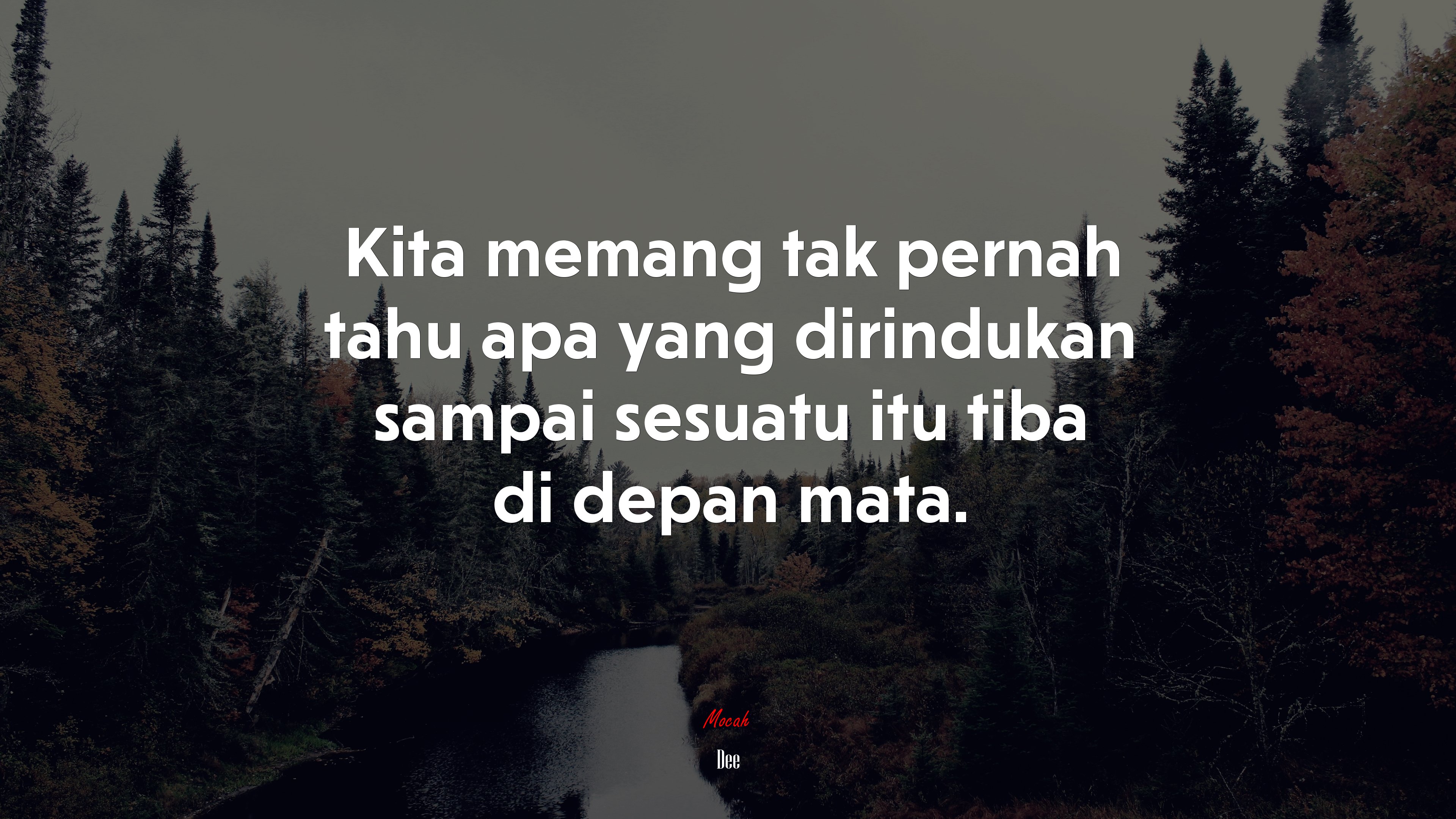 Kita memang tak pernah tahu apa yang dirindukan sampai sesuatu itu tiba di depan mata. | Dee quote HD Wallpaper