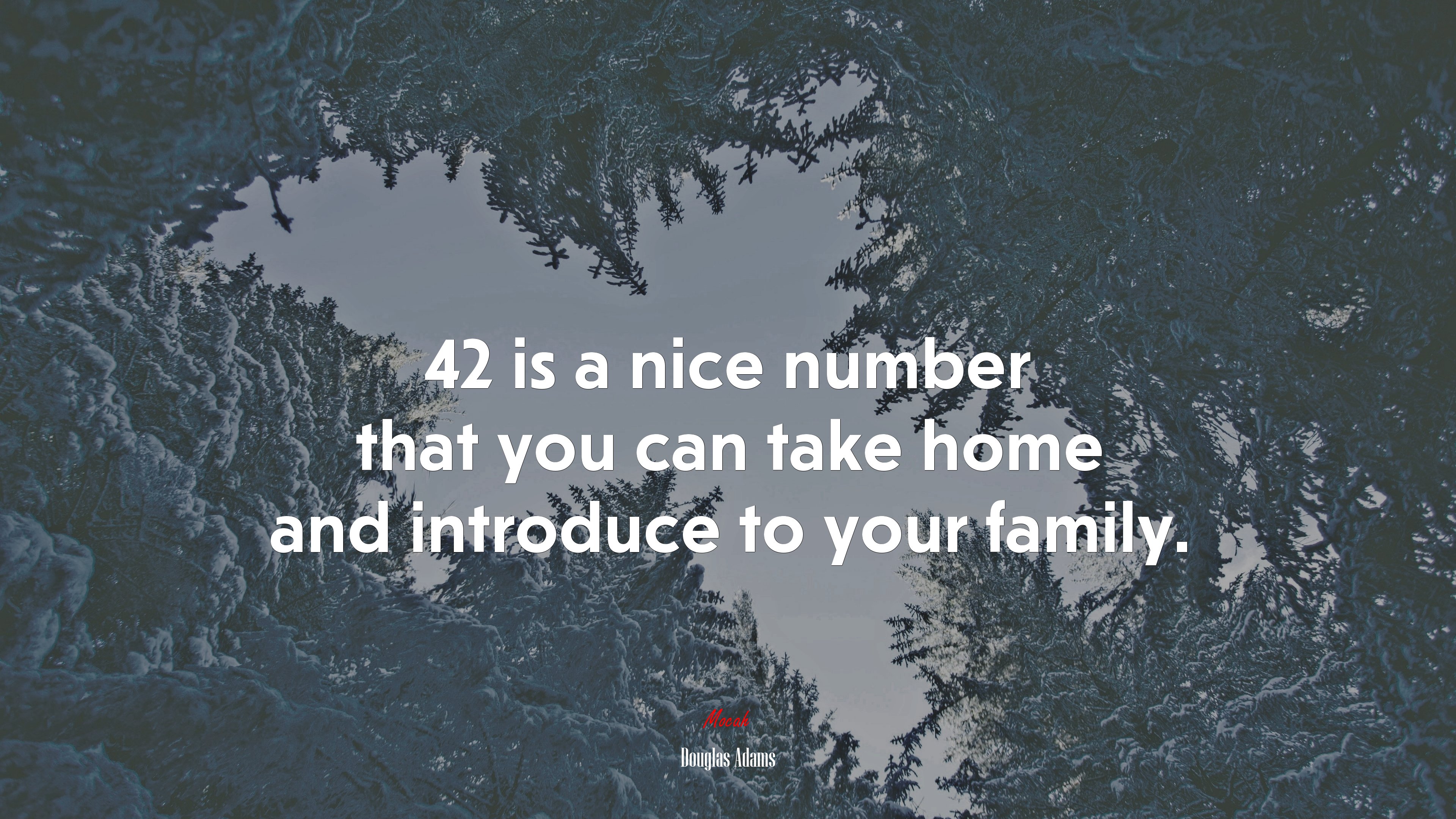 42 is a nice number that you can take home and introduce to your family. | Douglas Adams quote HD Wallpaper