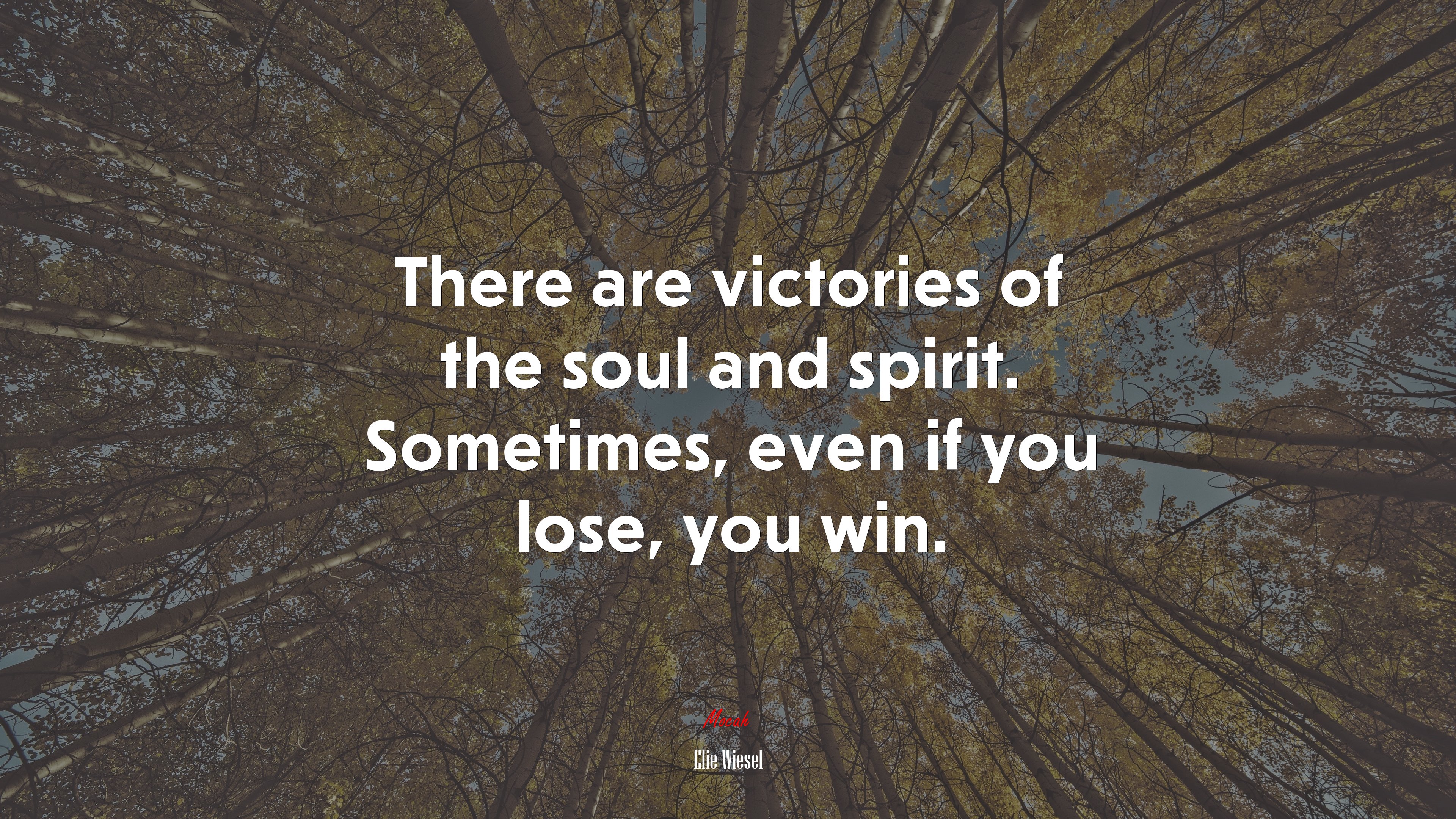 There are victories of the soul and spirit. Sometimes, even if you lose, you win. | Elie Wiesel quote HD Wallpaper