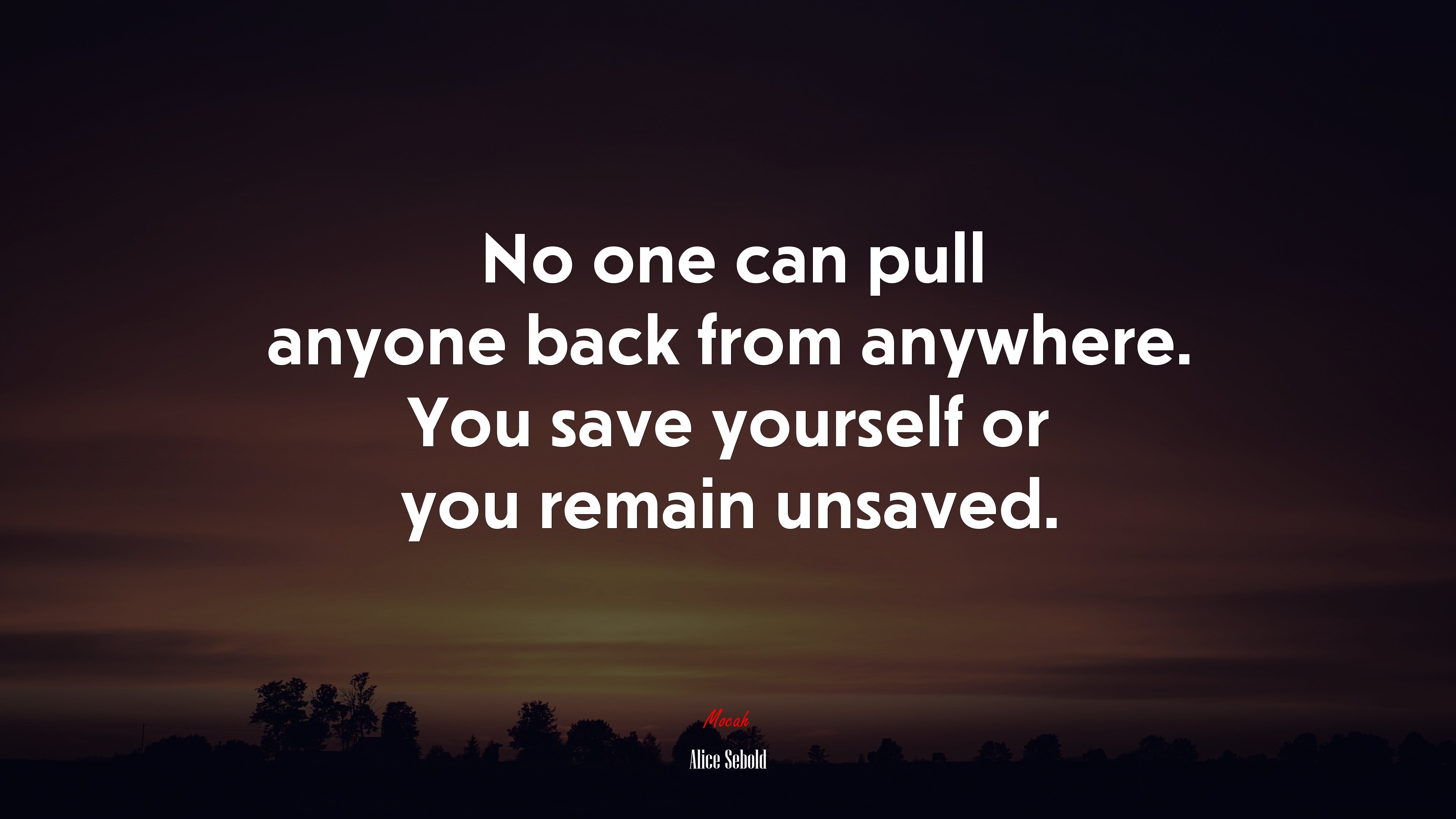 No one can pull anyone back from anywhere. You save yourself or you remain unsaved. | Alice Sebold quote HD Wallpaper