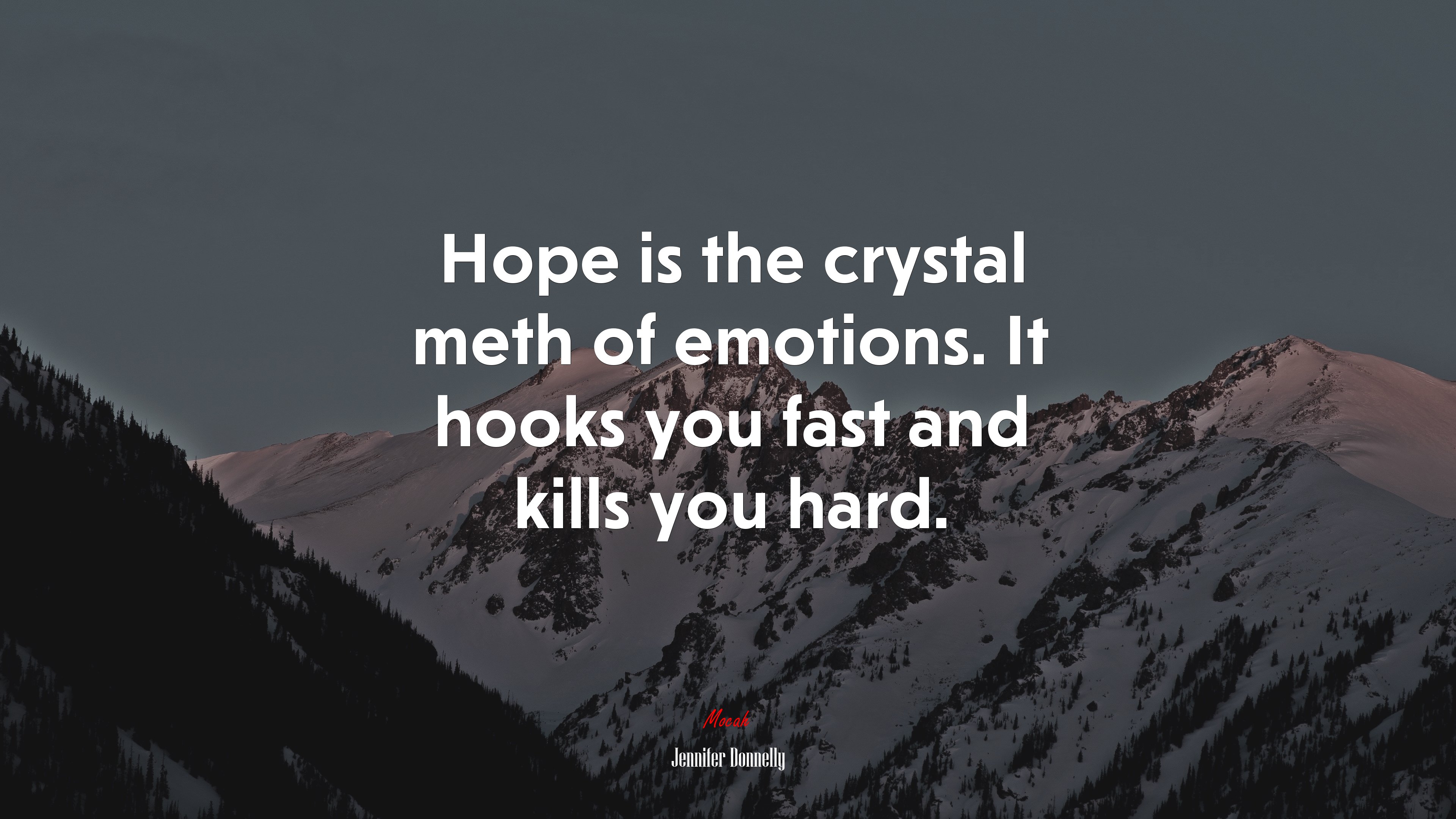 Hope is the crystal meth of emotions. It hooks you fast and kills you hard. | Jennifer Donnelly quote HD Wallpaper