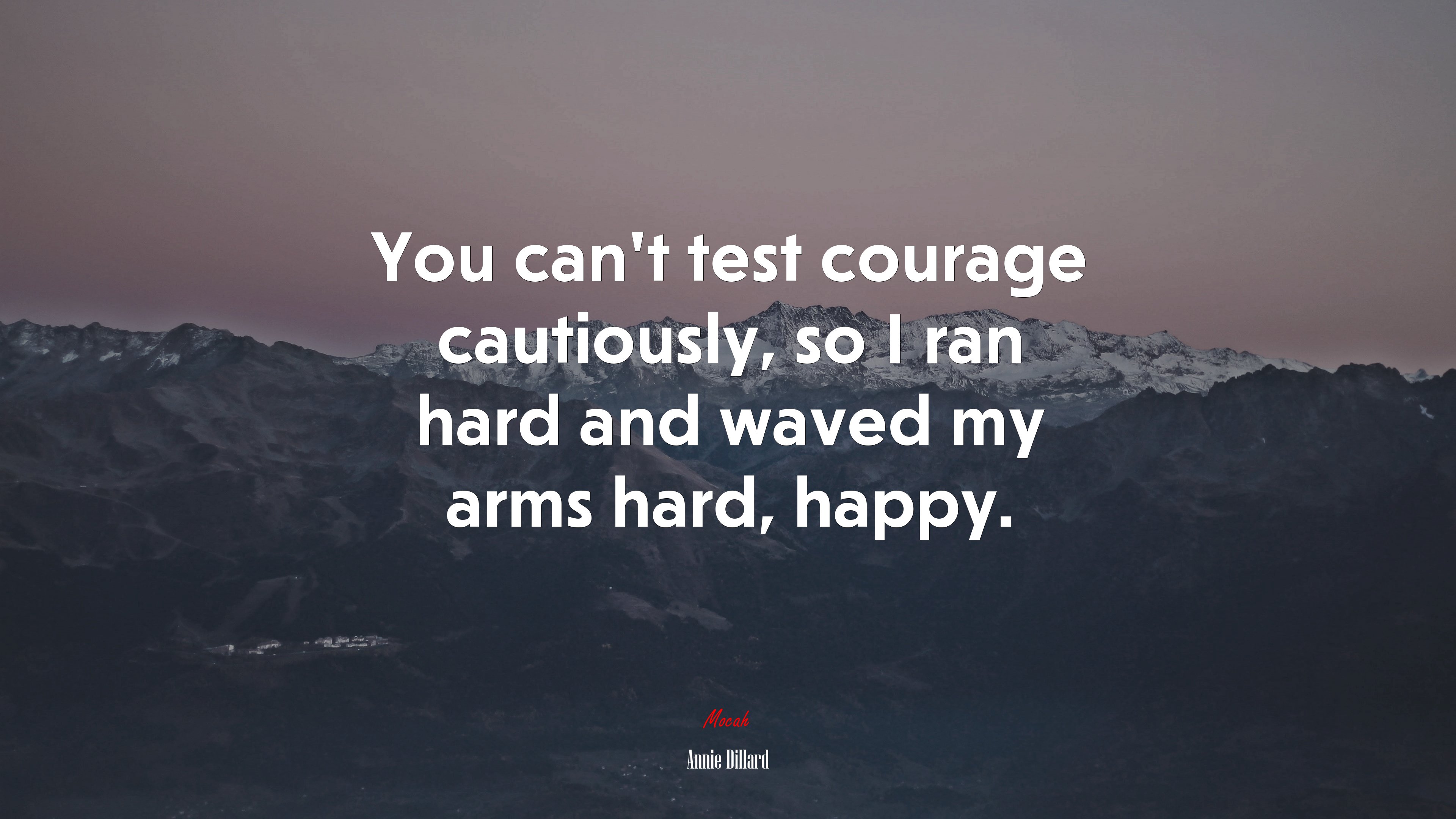 You can’t test courage cautiously, so I ran hard and waved my arms hard, happy. | Annie Dillard quote HD Wallpaper