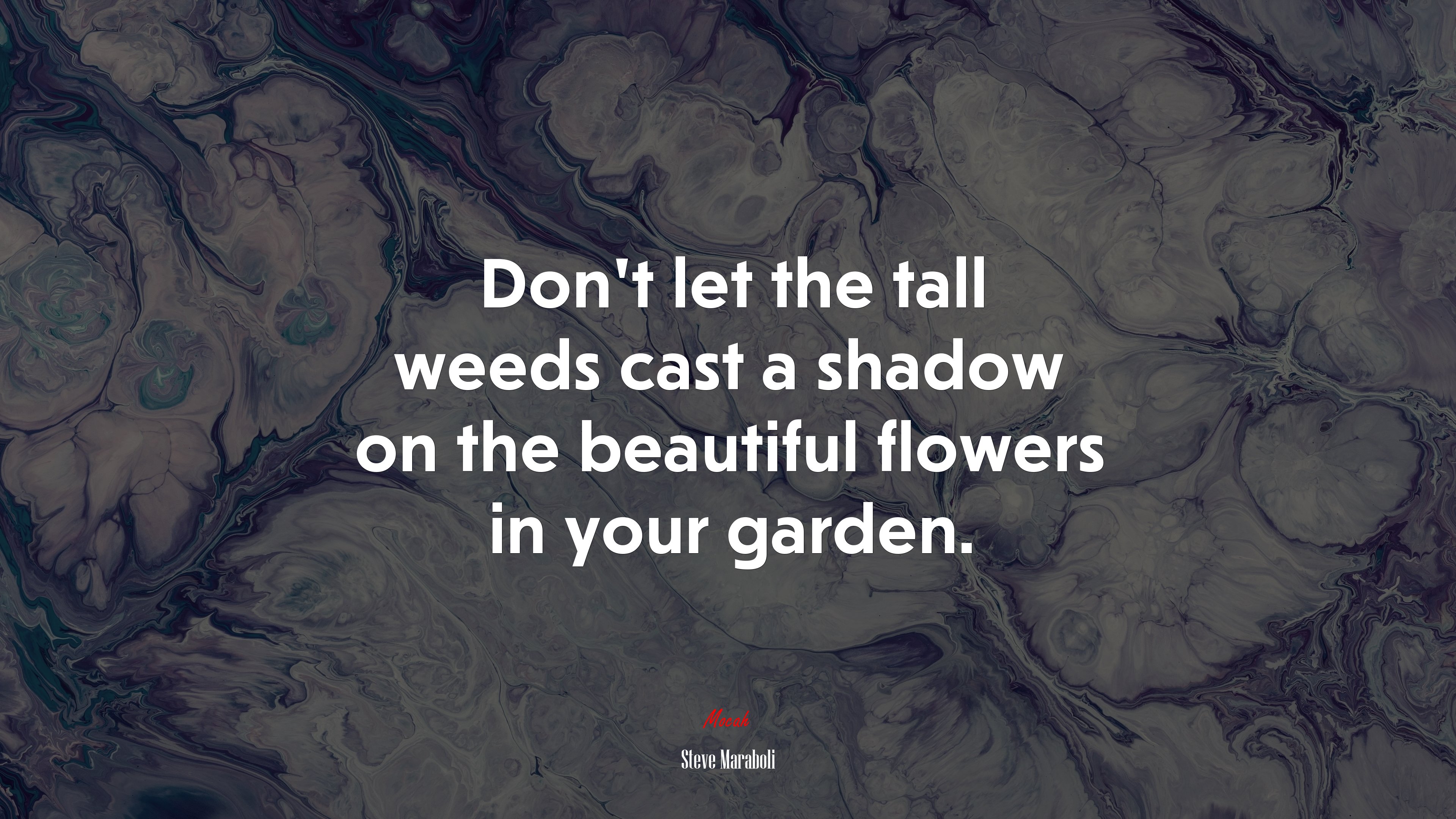 Don’t let the tall weeds cast a shadow on the beautiful flowers in your garden. | Steve Maraboli quote HD Wallpaper
