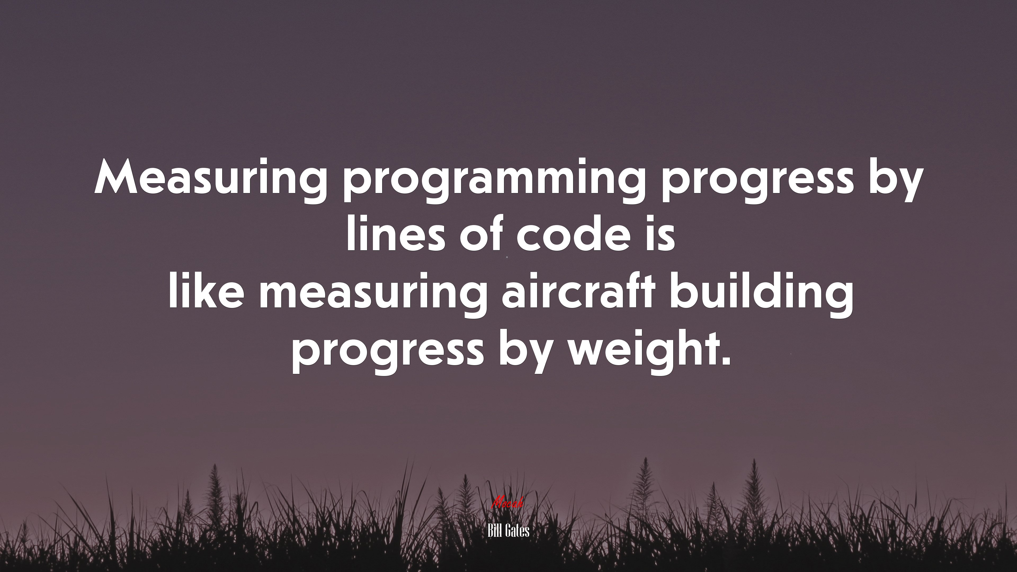 Measuring programming progress by lines of code is like measuring aircraft building progress by weight. | Bill Gates quote HD Wallpaper