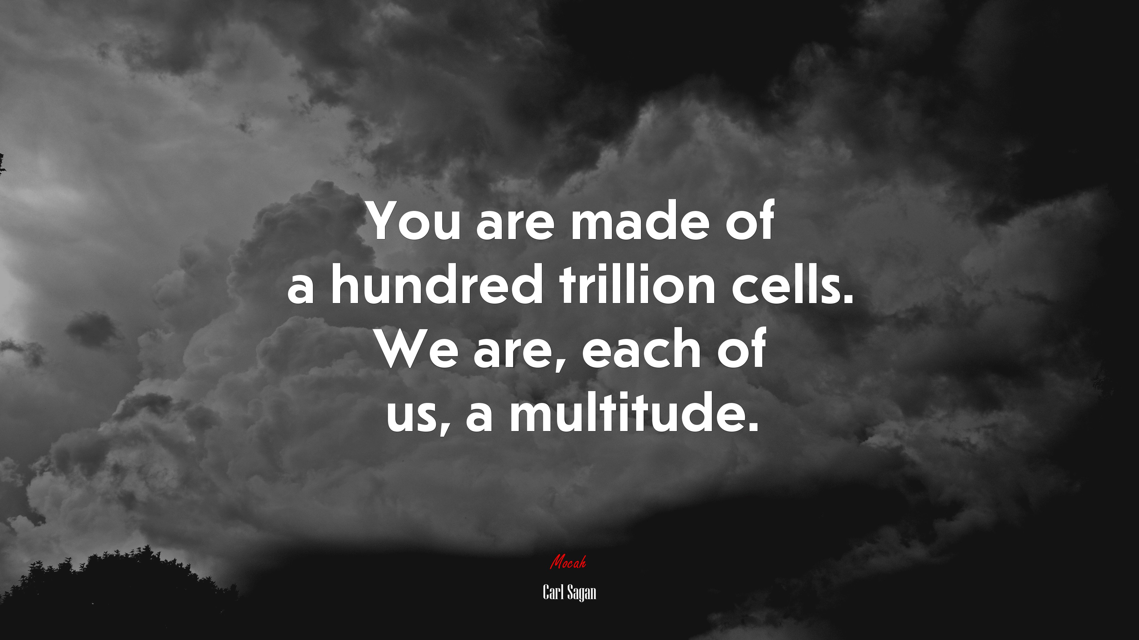 You are made of a hundred trillion cells. We are, each of us, a multitude. | Carl Sagan quote HD Wallpaper