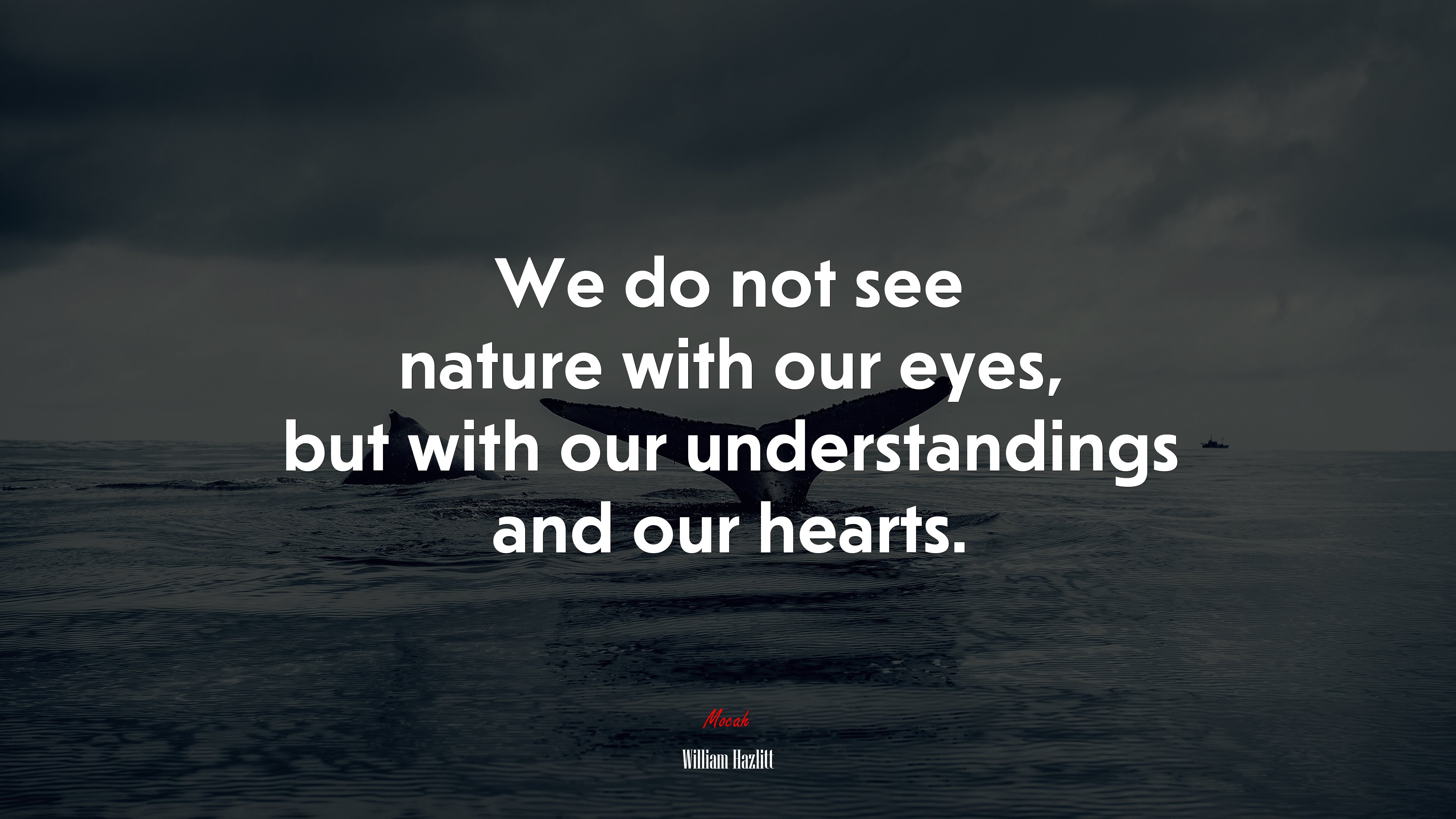 We do not see nature with our eyes, but with our understandings and our hearts. | William Hazlitt quote HD Wallpaper
