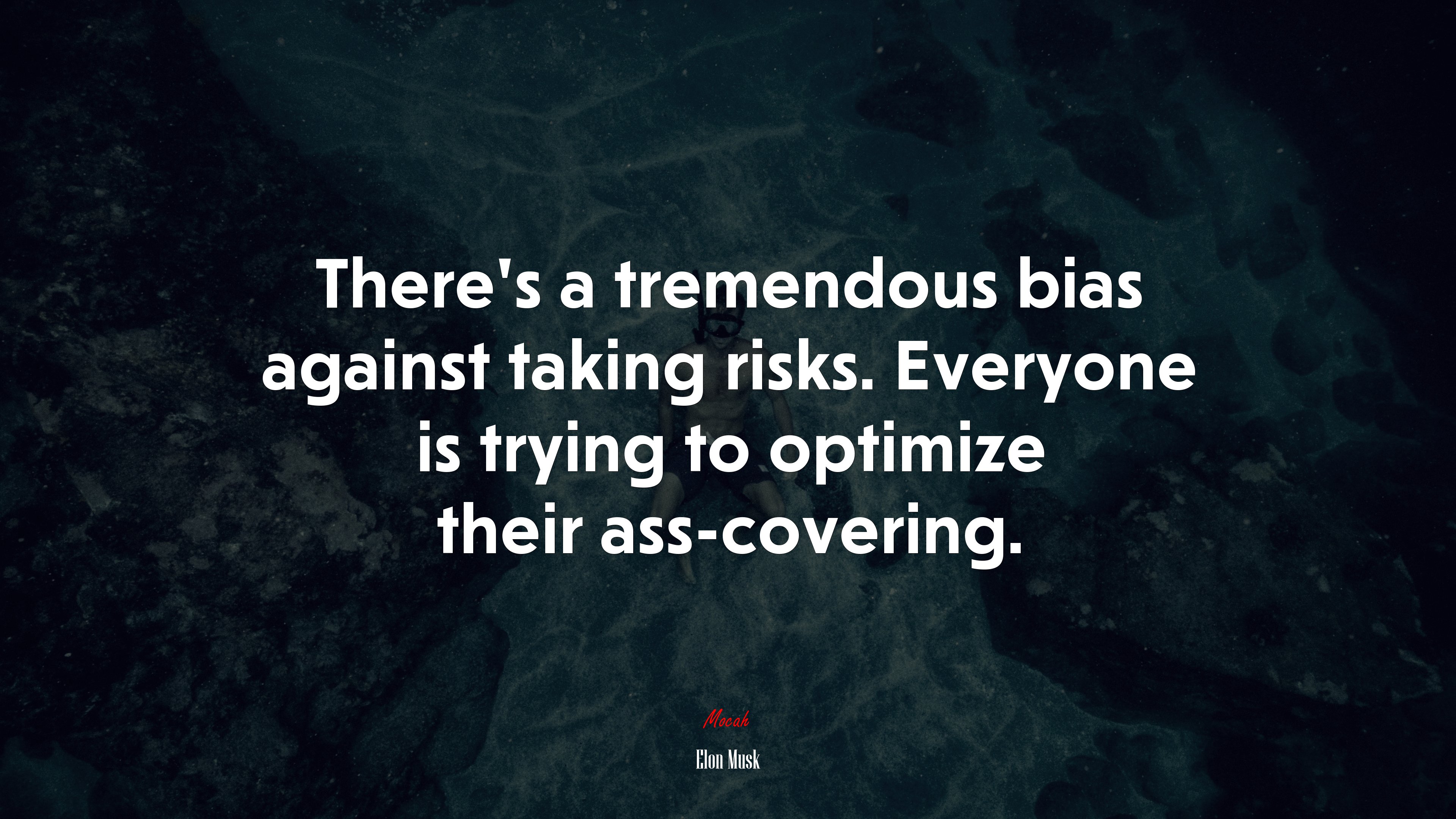 There’s a tremendous bias against taking risks. Everyone is trying to optimize their ass-covering. | Elon Musk quote HD Wallpaper