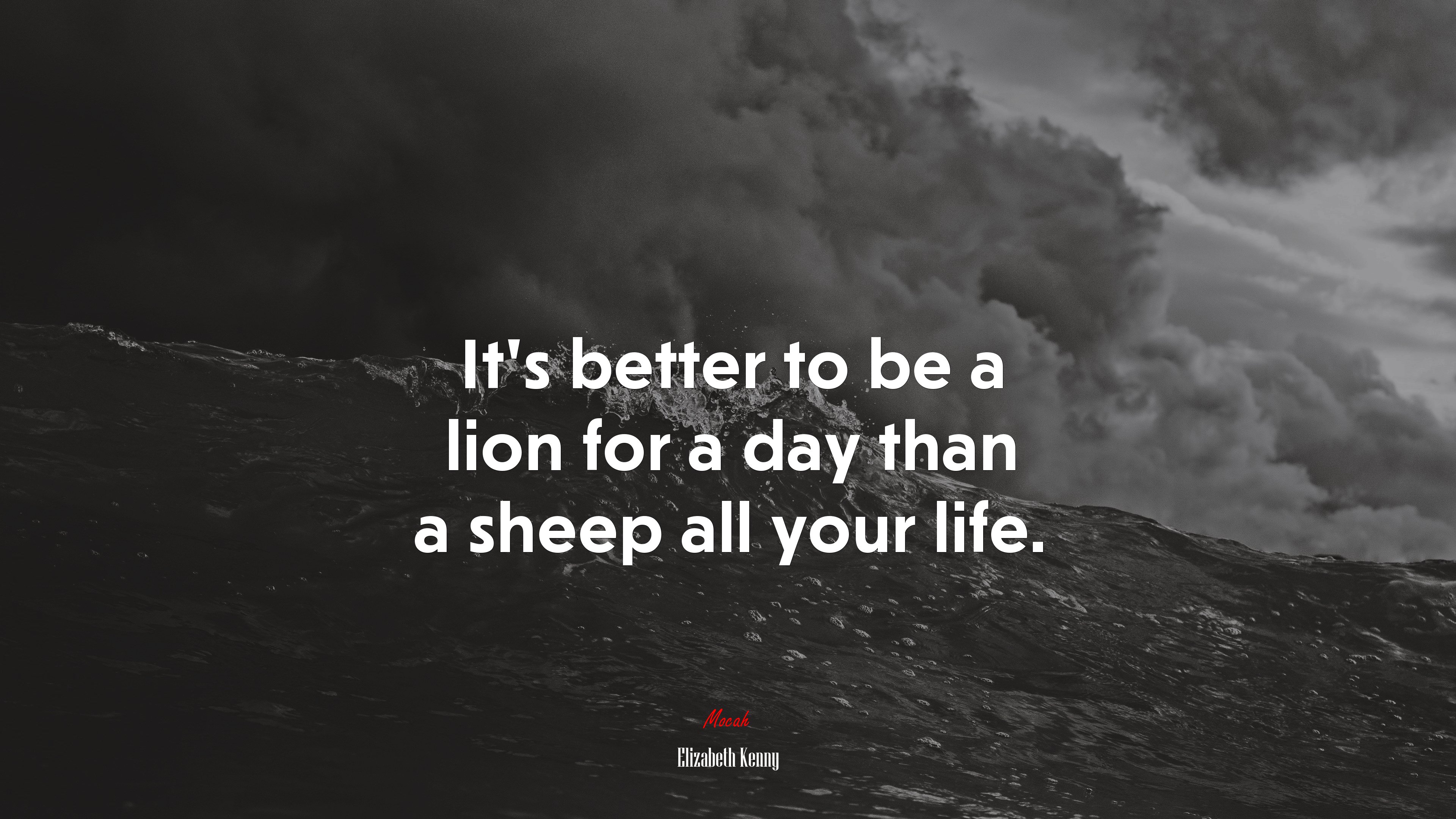 It’s better to be a lion for a day than a sheep all your life. | Elizabeth Kenny quote HD Wallpaper