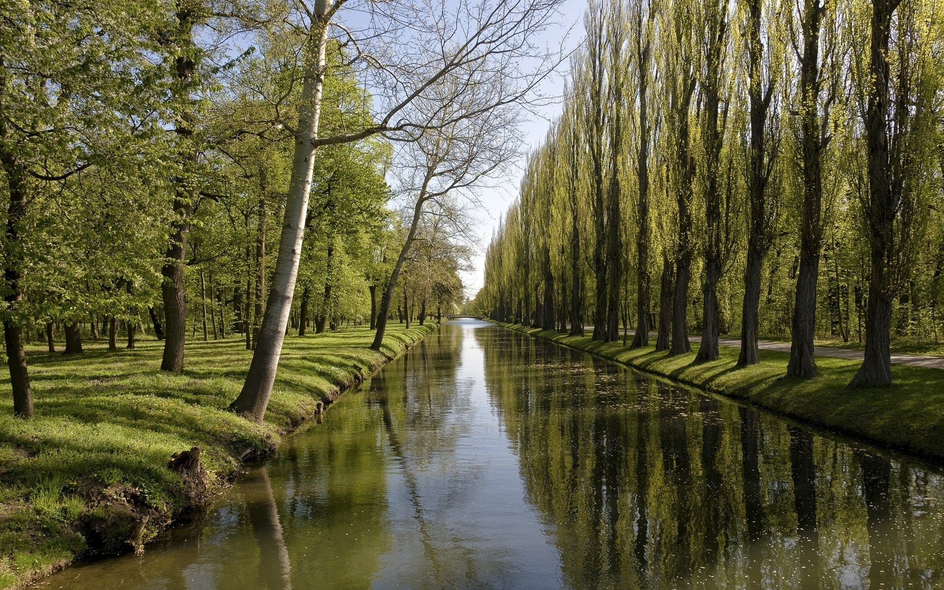 Canal lined with tall trees and green grass HD Wallpaper