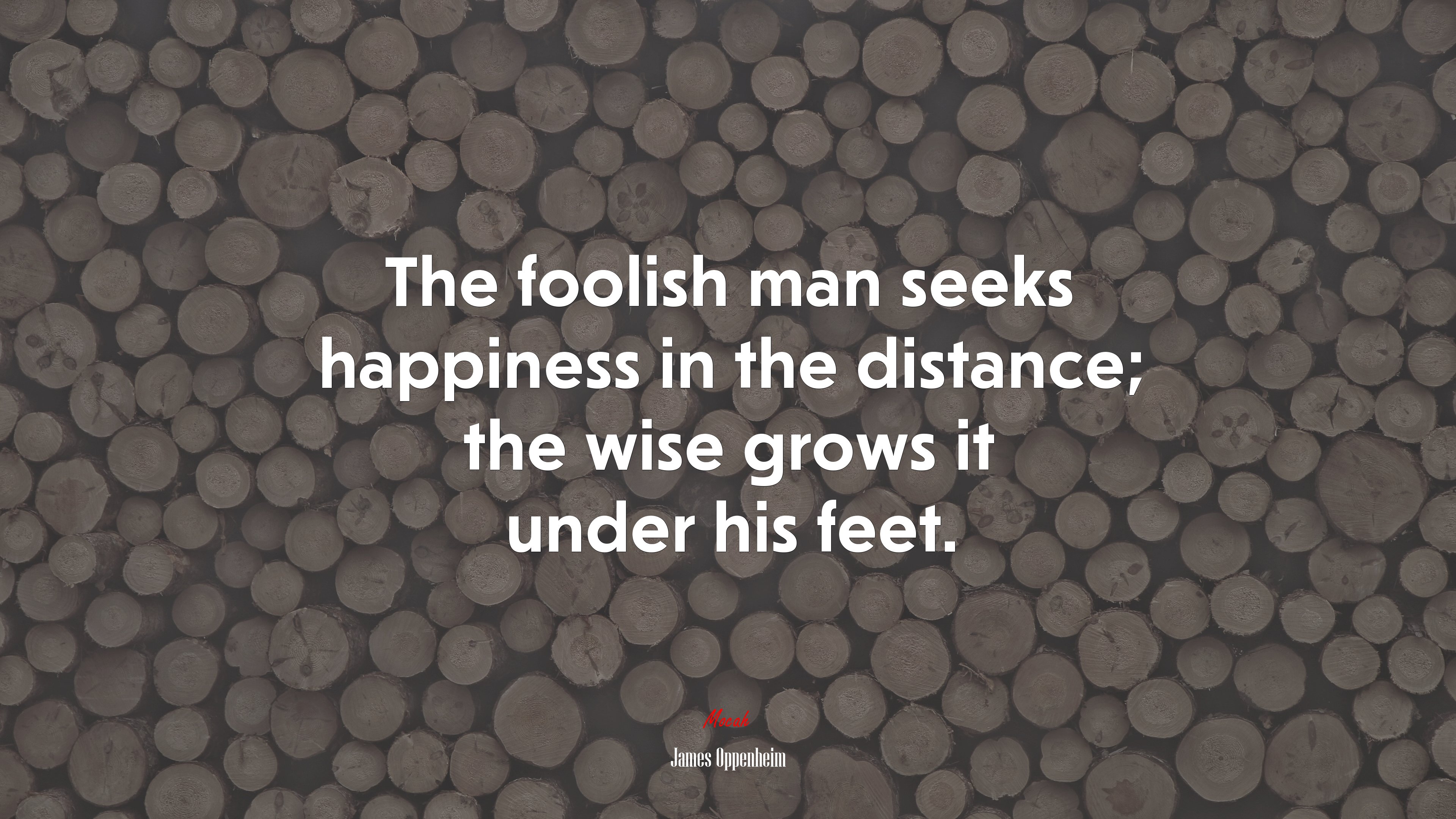 The foolish man seeks happiness in the distance; the wise grows it under his feet. | James Oppenheim quote HD Wallpaper