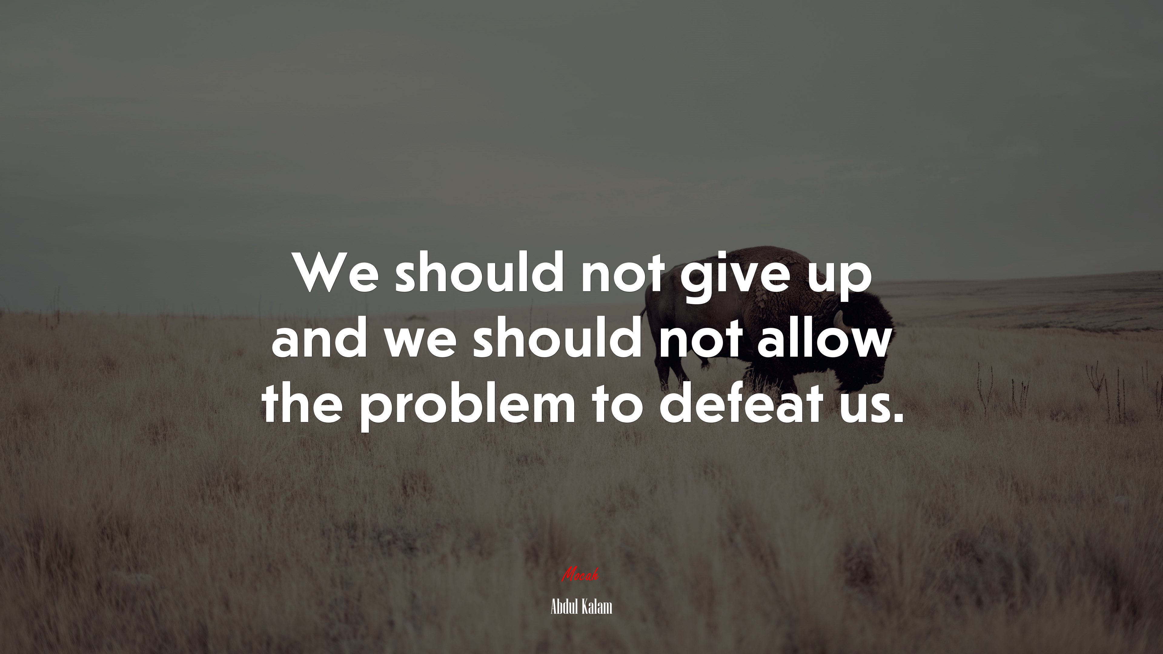We should not give up and we should not allow the problem to defeat us. | Abdul Kalam quote HD Wallpaper