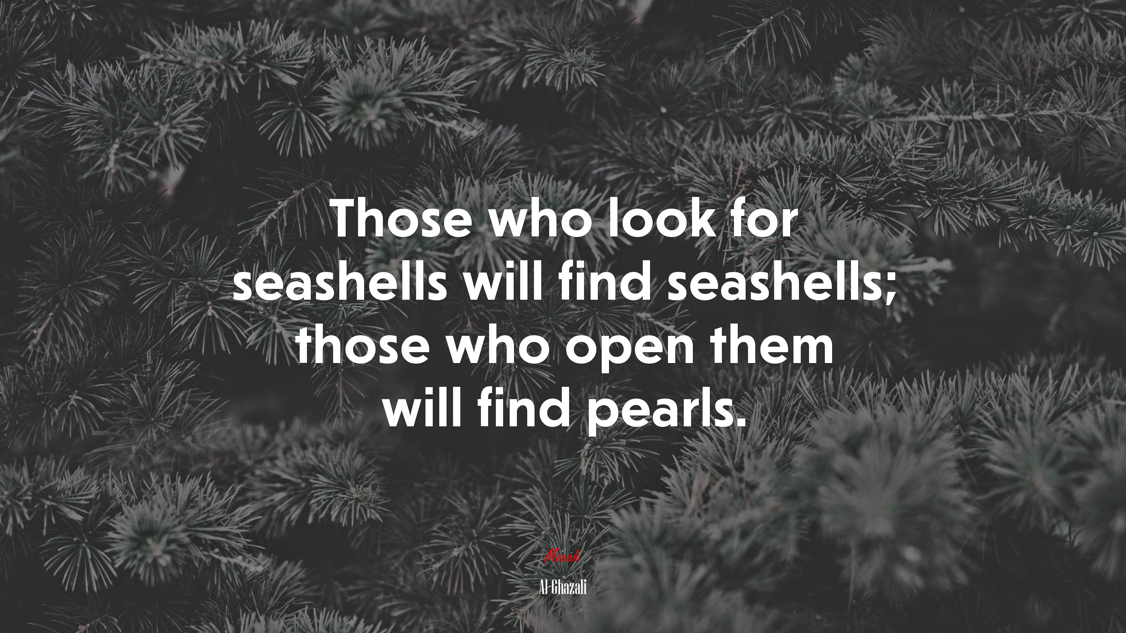 Those who look for seashells will find seashells; those who open them will find pearls. | Al-Ghazali quote HD Wallpaper