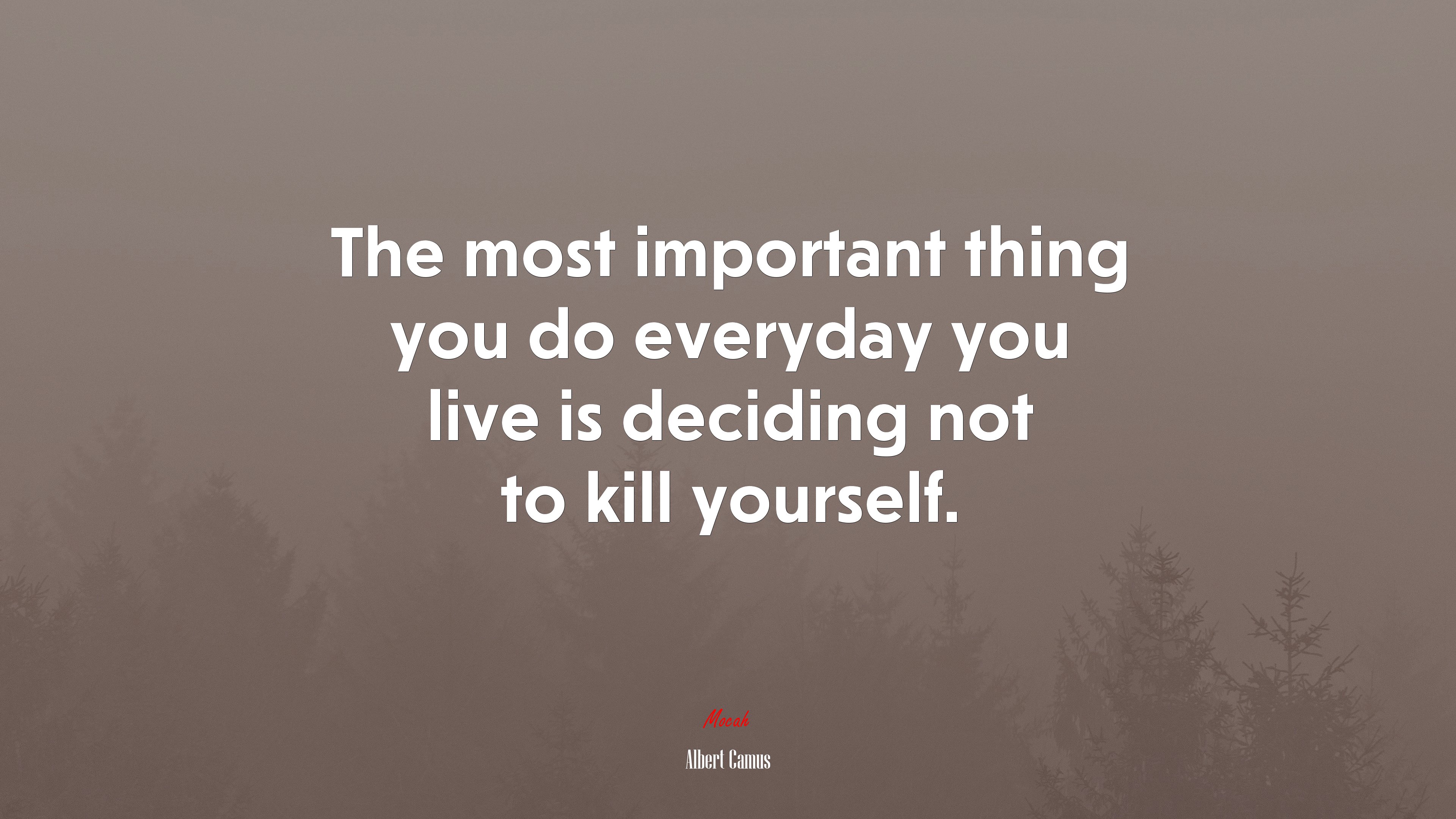 The most important thing you do everyday you live is deciding not to kill yourself. | Albert Camus quote HD Wallpaper